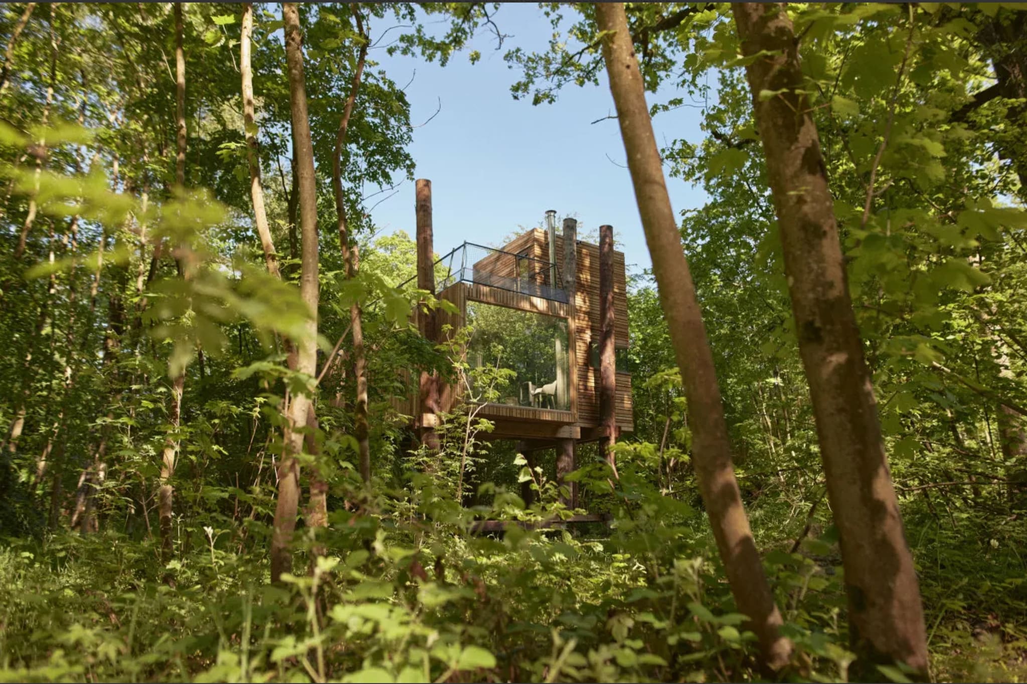 The TreeLoft by YourNature-Gebieden zomer 1km