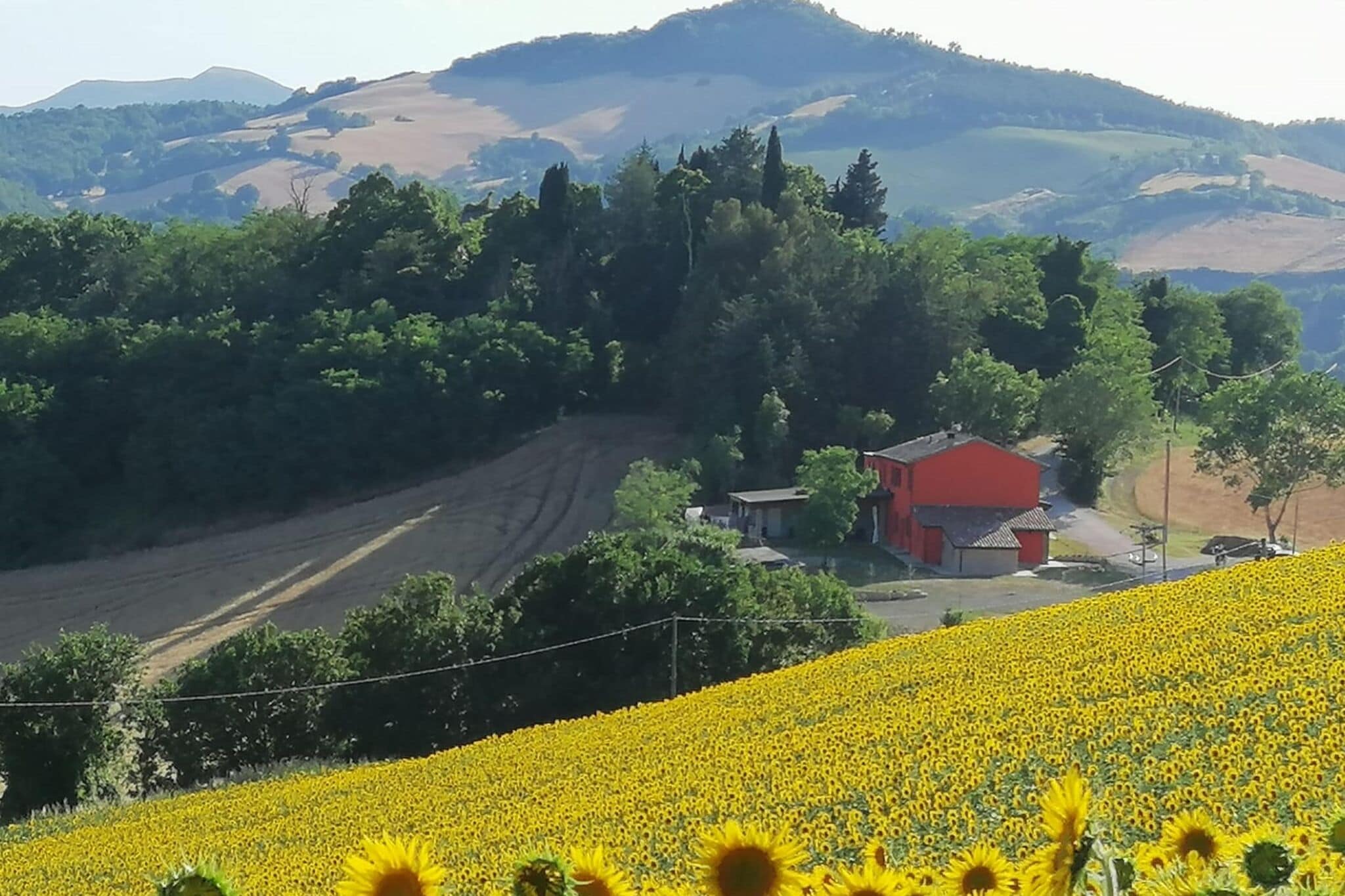 Gemütliches Ferienhaus in der bezaubernden Landschaft von Urbino