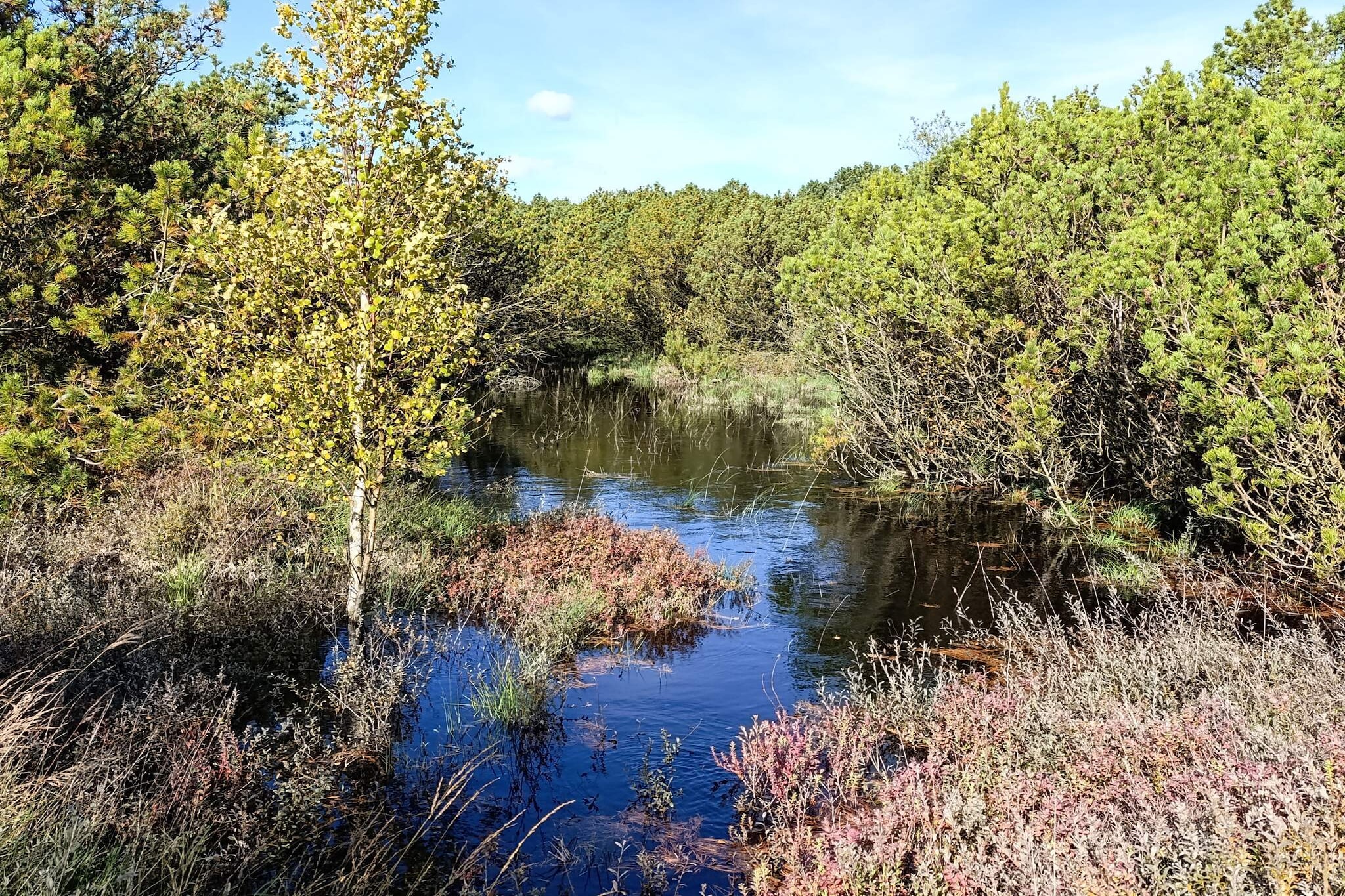 8 Personen Ferienhaus in Rømø-By Traum-Wasserblick