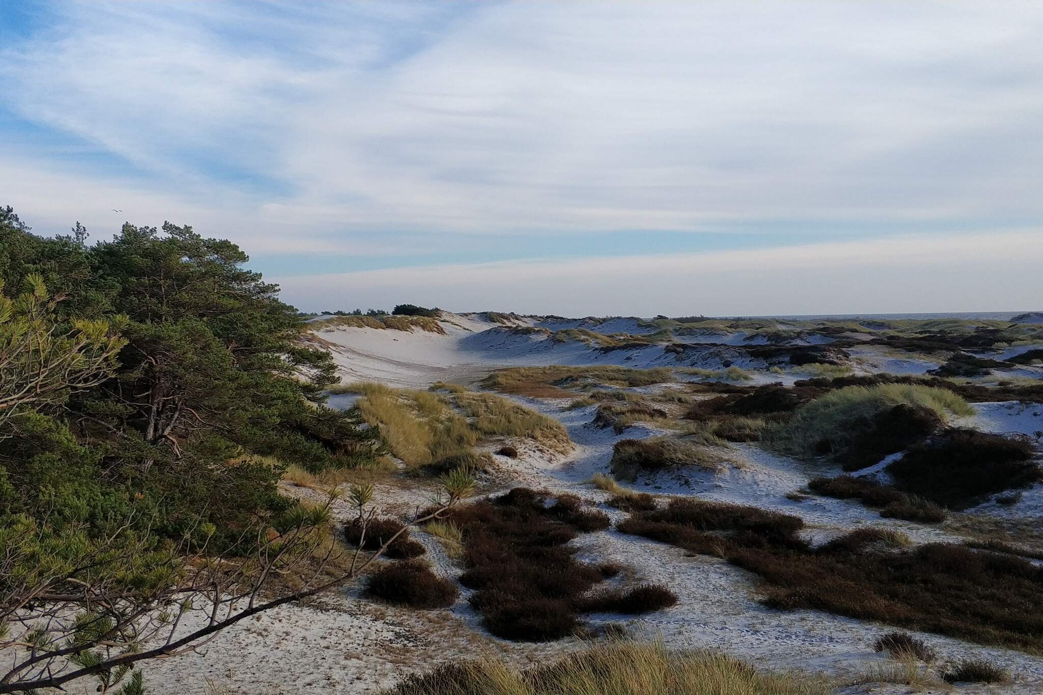 Modern vakantiehuisje vlakbij het strand - Niet-getagd