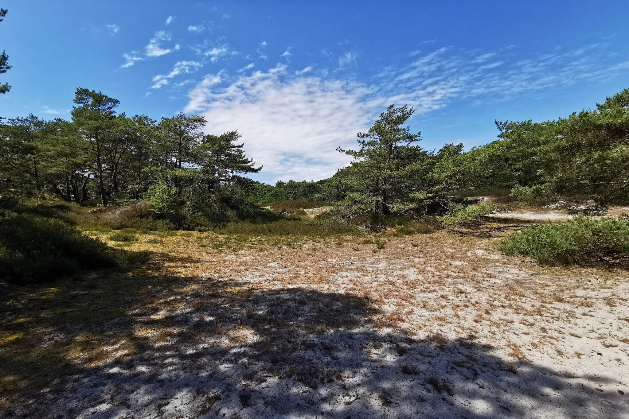 Modern vakantiehuisje vlakbij het strand - Niet-getagd
