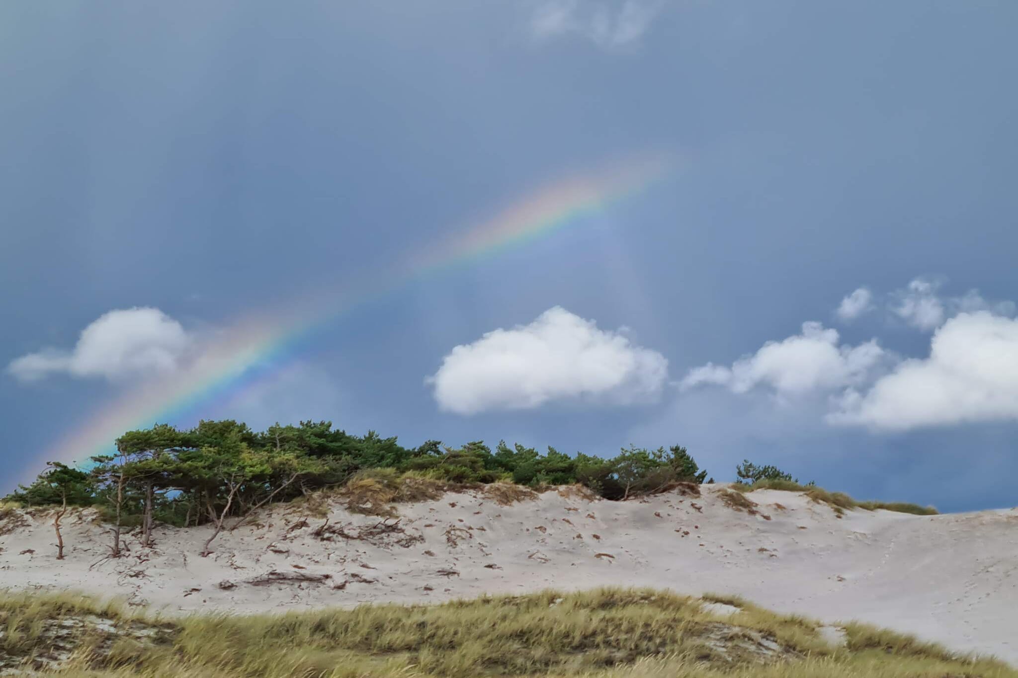 Modern vakantiehuisje vlakbij het strand - Niet-getagd