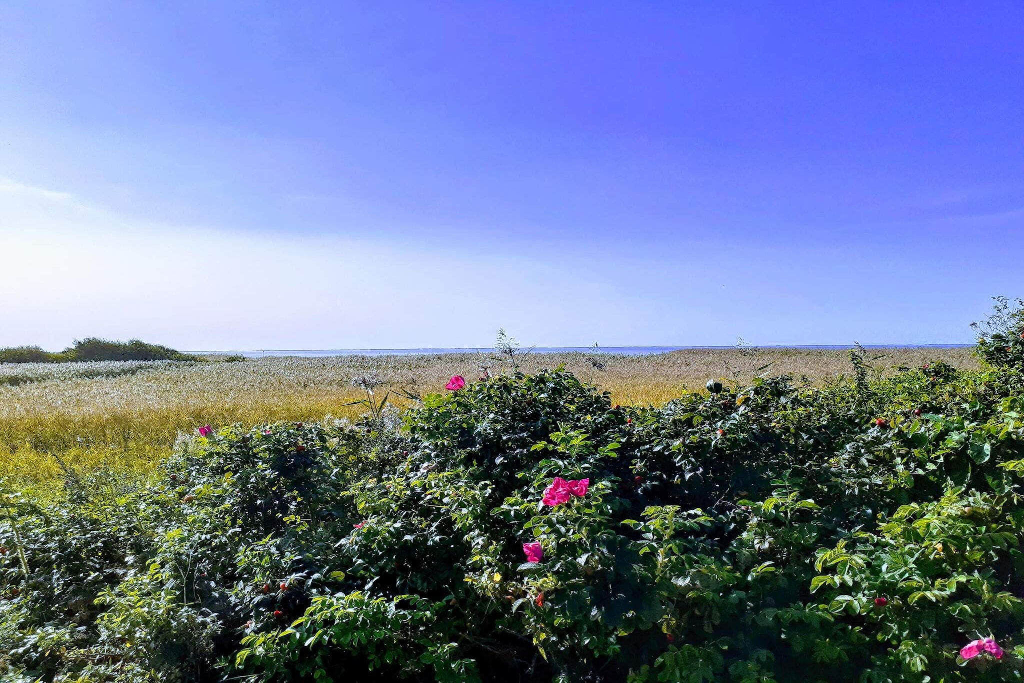6 persoons vakantie huis in Skjern-By Traum-Buitenlucht