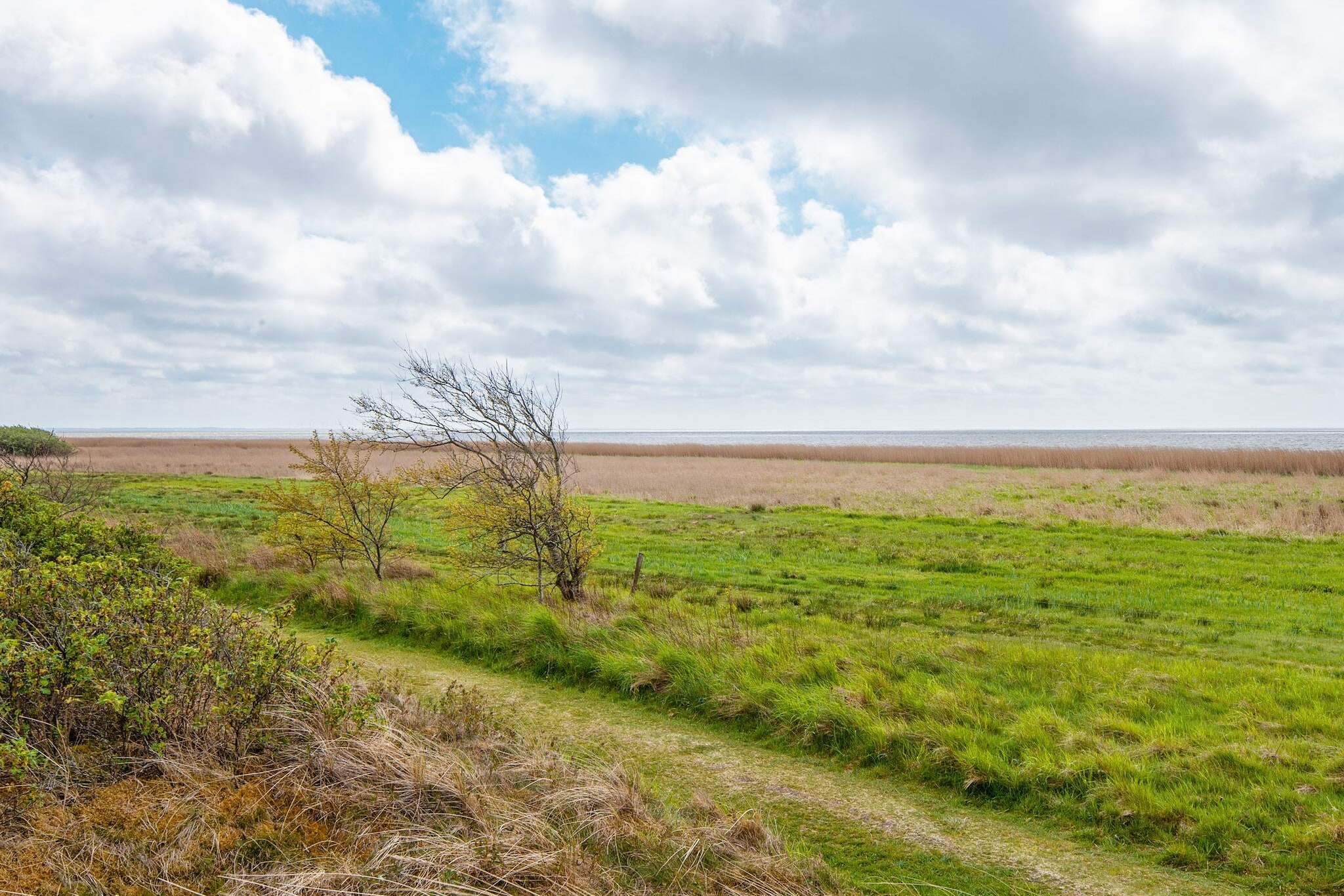 6 persoons vakantie huis in Skjern-By Traum - Niet-getagd