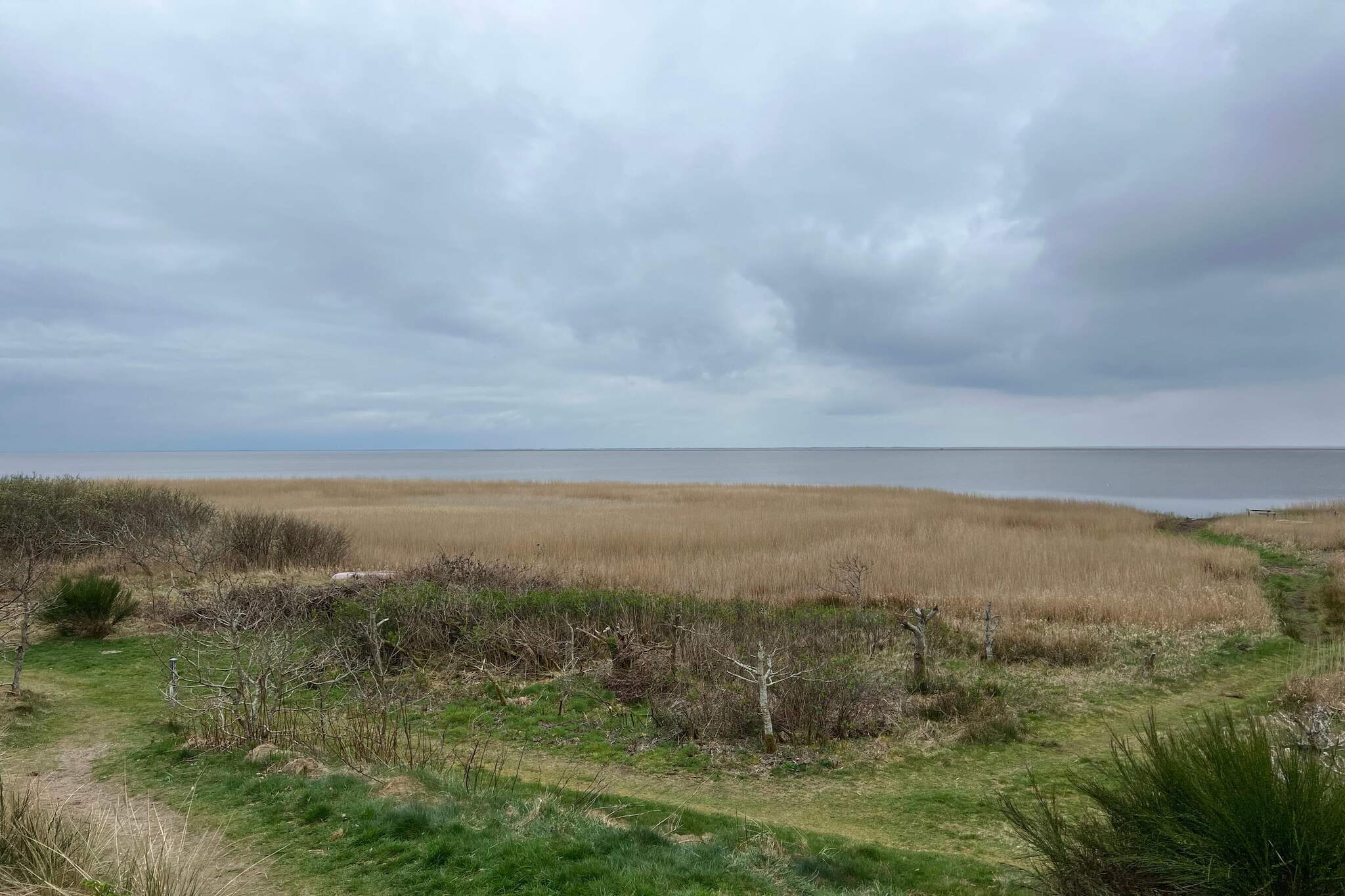 6 persoons vakantie huis in Skjern-By Traum - Buitenlucht