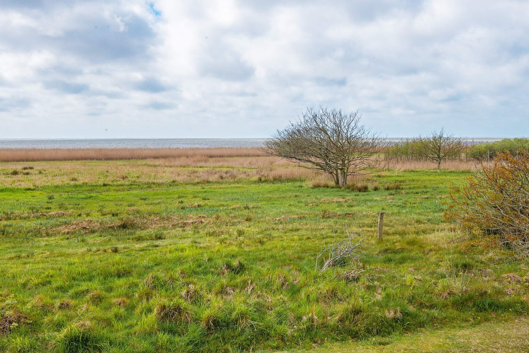 6 persoons vakantie huis in Skjern-By Traum - Niet-getagd
