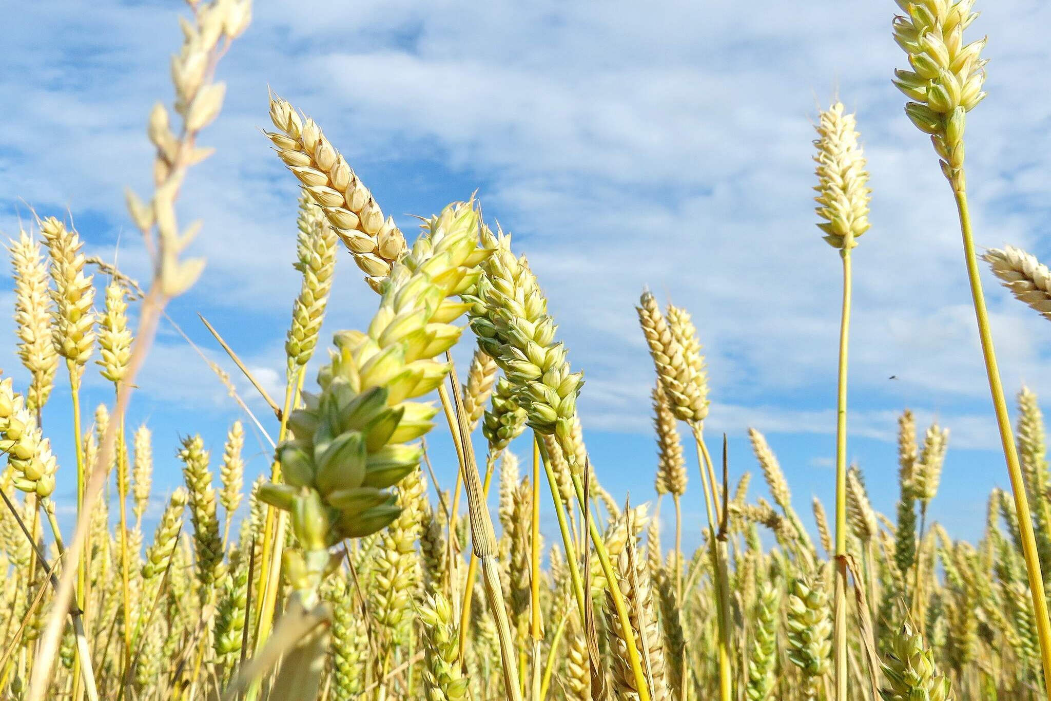Seaside Escape in Sandkas - By Traum Ferienwohnungen