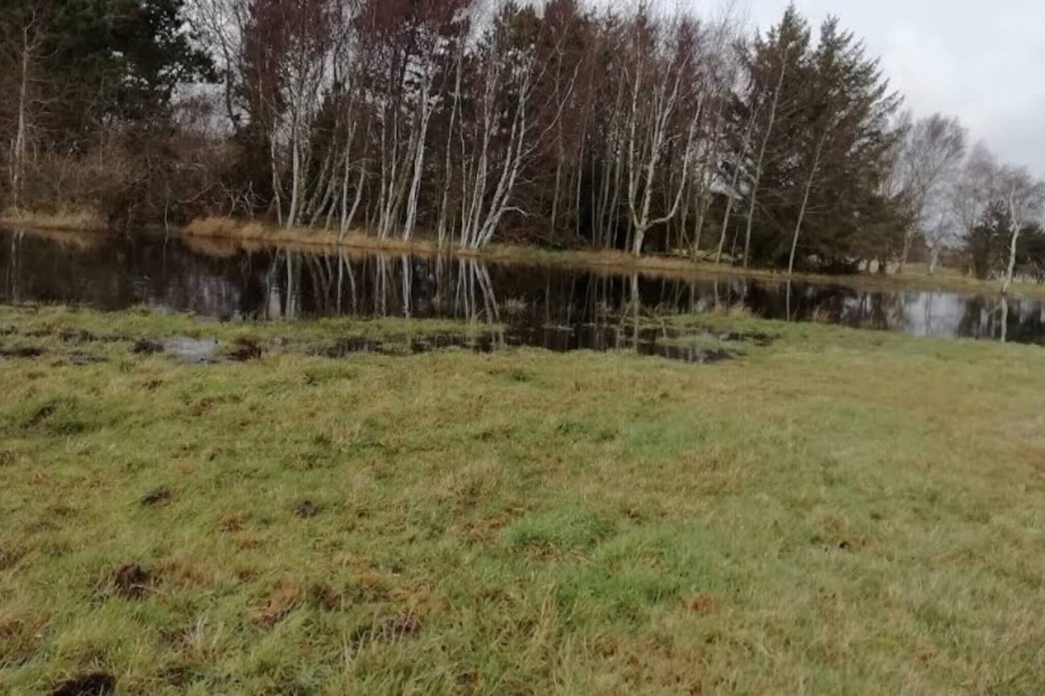 8 persoons vakantie huis in Rødby-By Traum-Buitenlucht