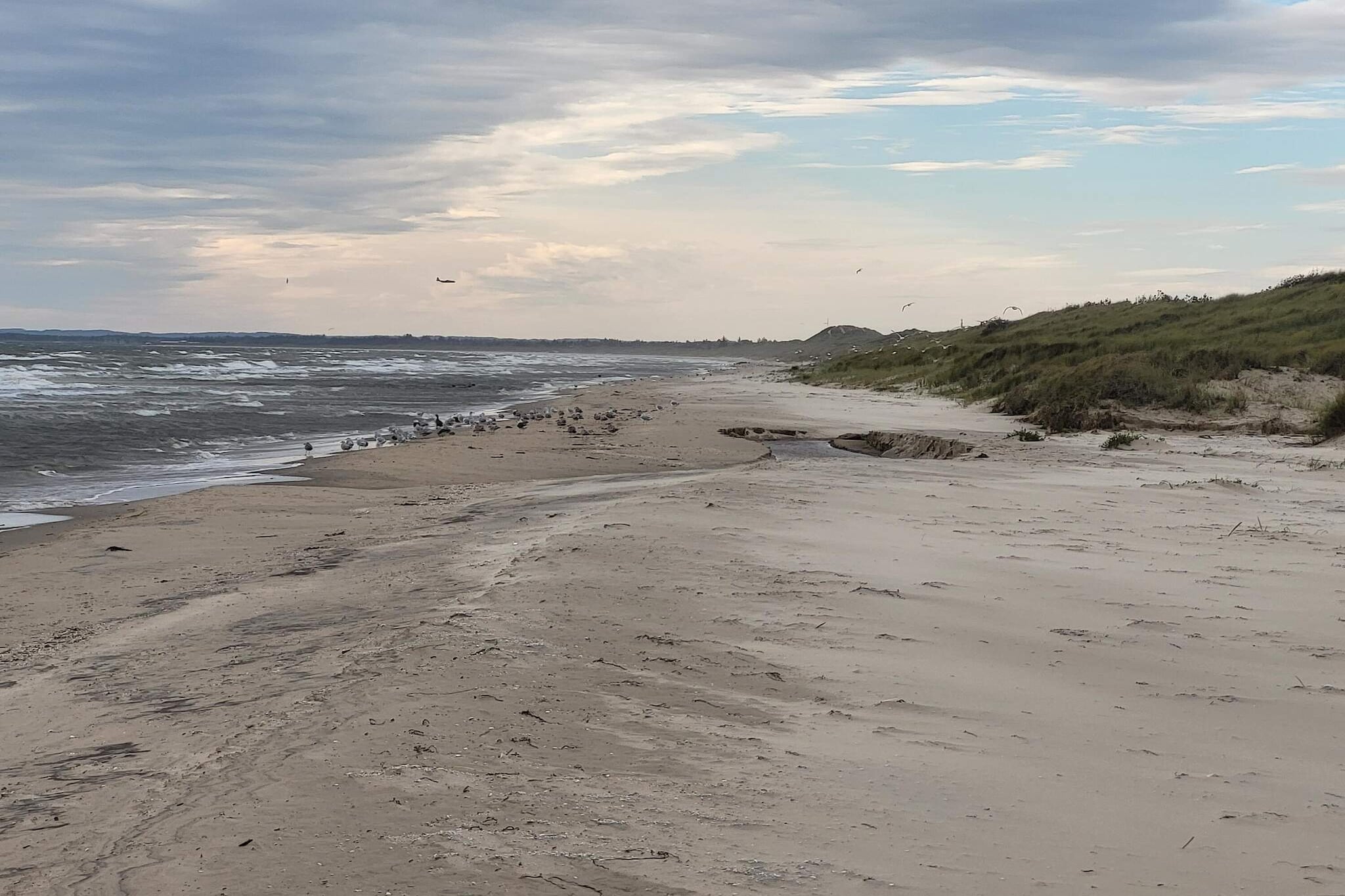 Maison de vacances pour 8 a Ålbæk-By Traum