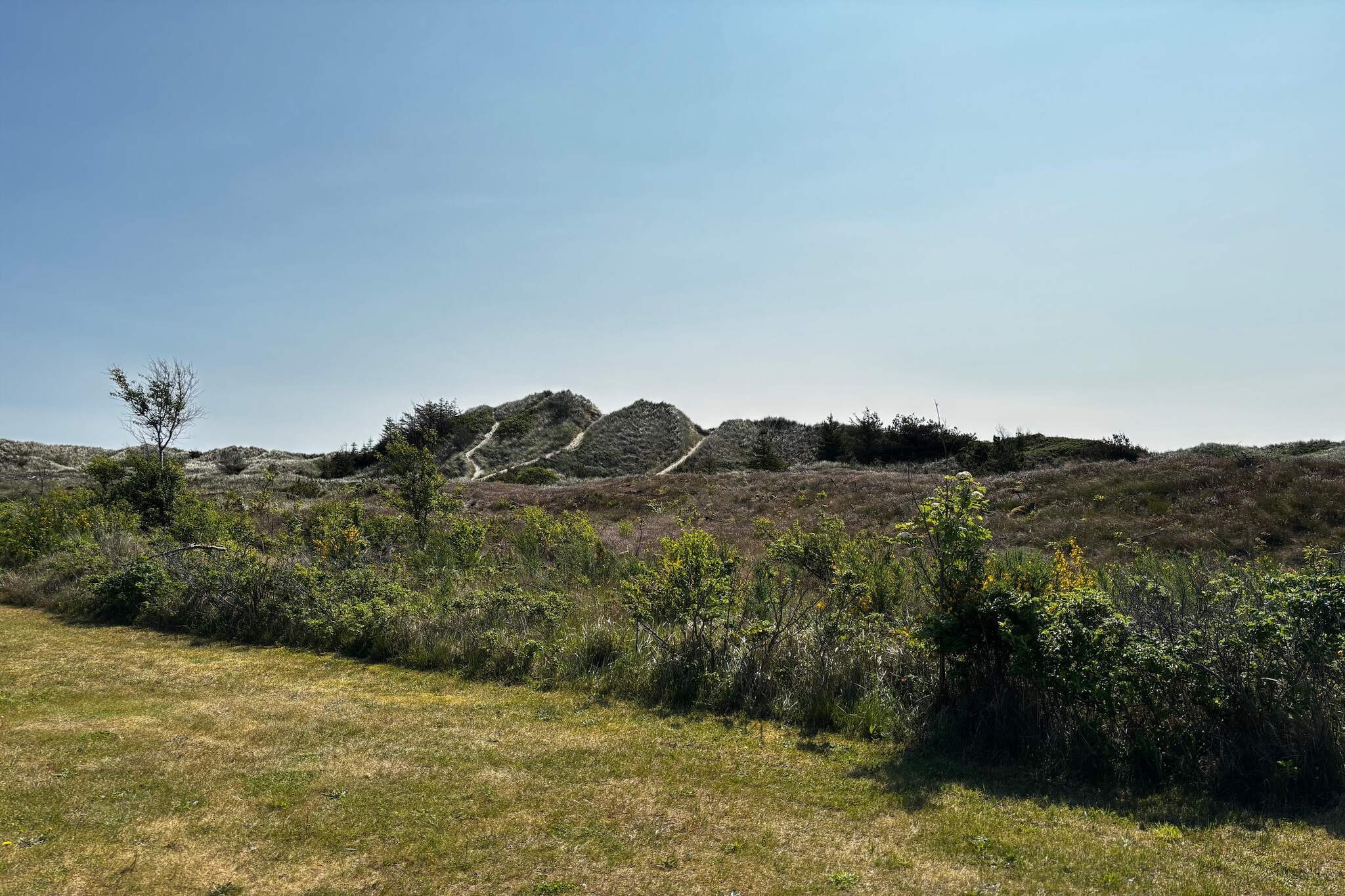 8 persoons vakantie huis in Ålbæk-By Traum