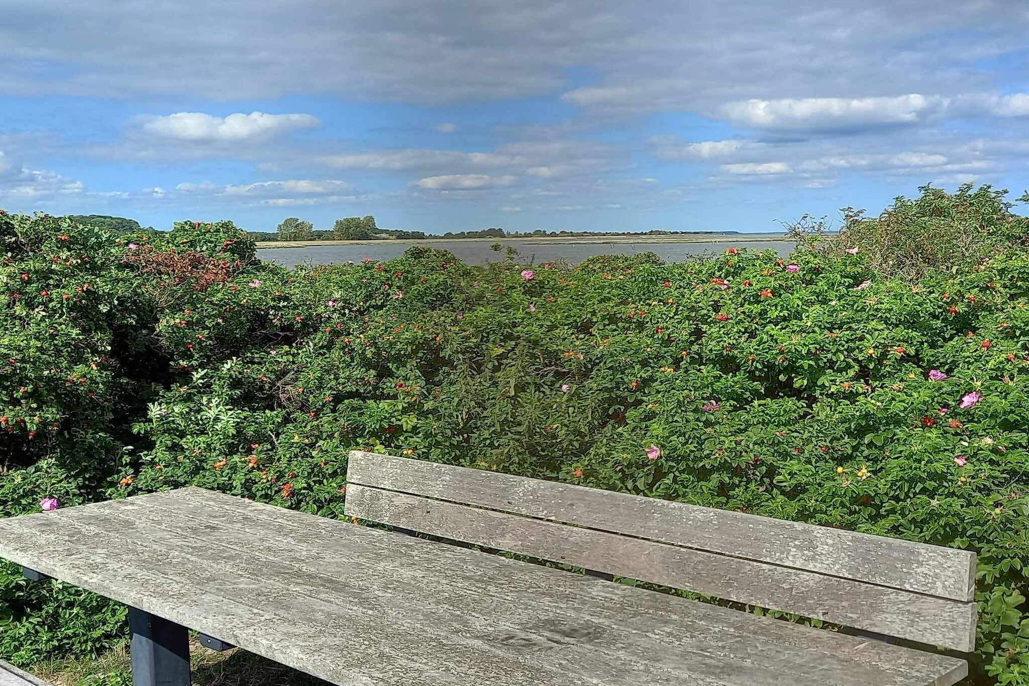 10 persoons vakantie huis in Haderslev-By Traum