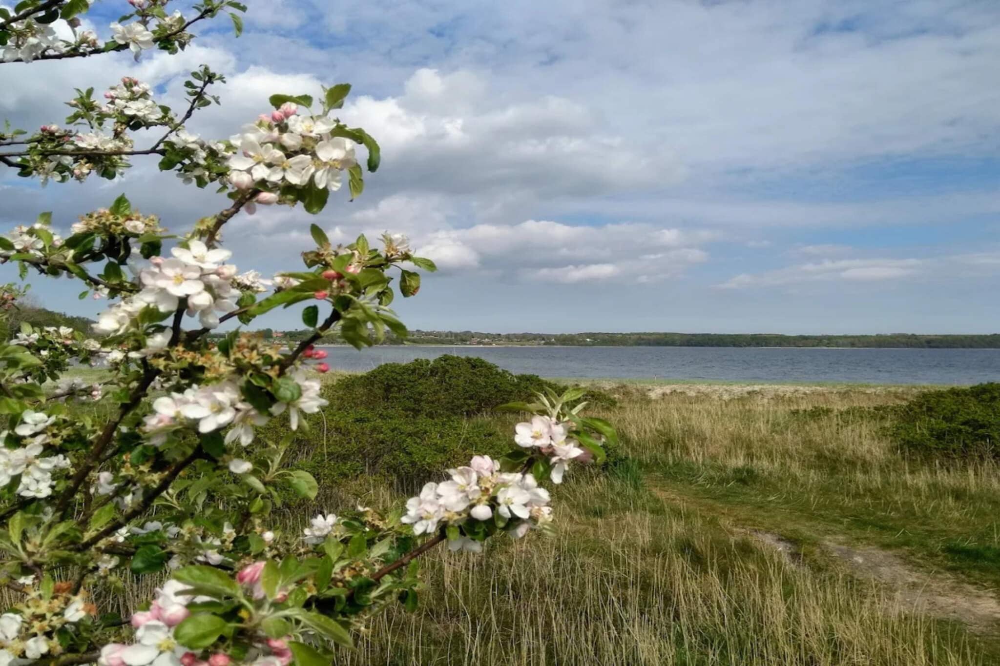 8 persoons vakantie huis in Rønde-By Traum-Waterzicht