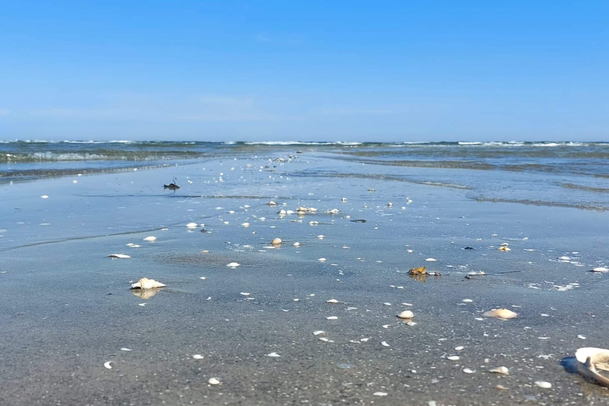 4 persoons vakantie huis in Hals-By Traum - Waterzicht