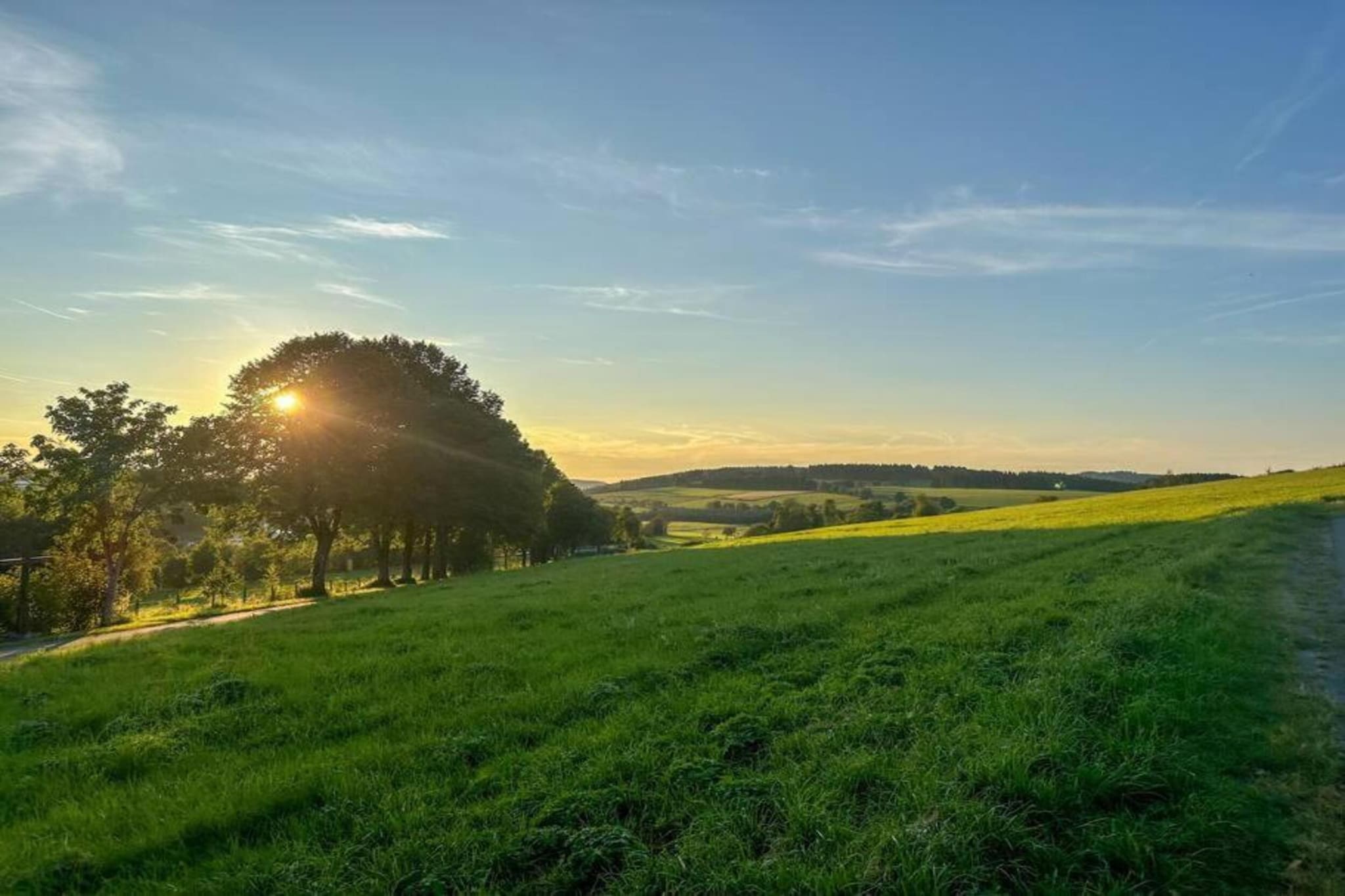 Ferienpark Sauerland 3-Gebieden zomer 20km