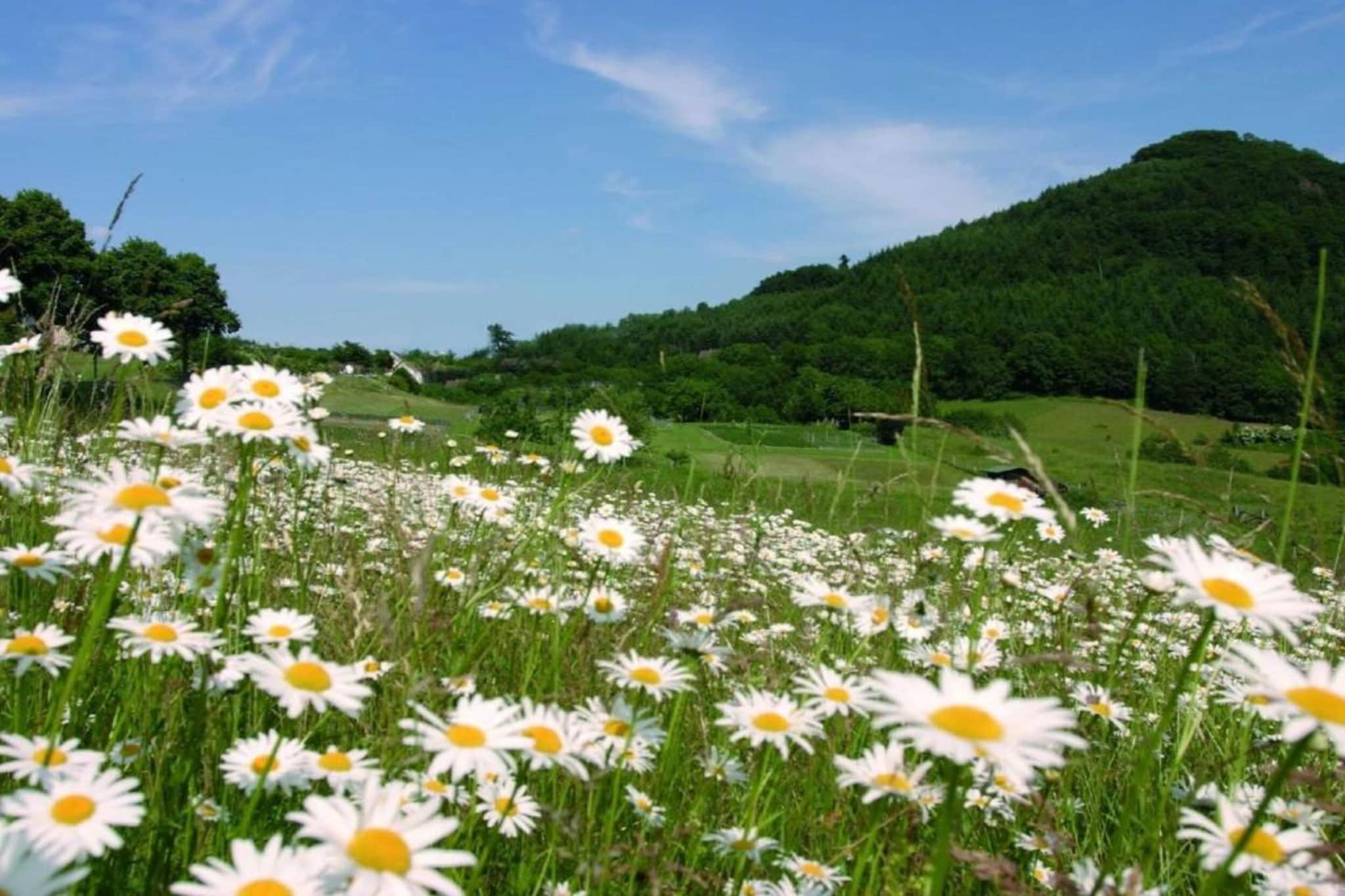Ferienpark Sauerland 3-Gebieden zomer 20km