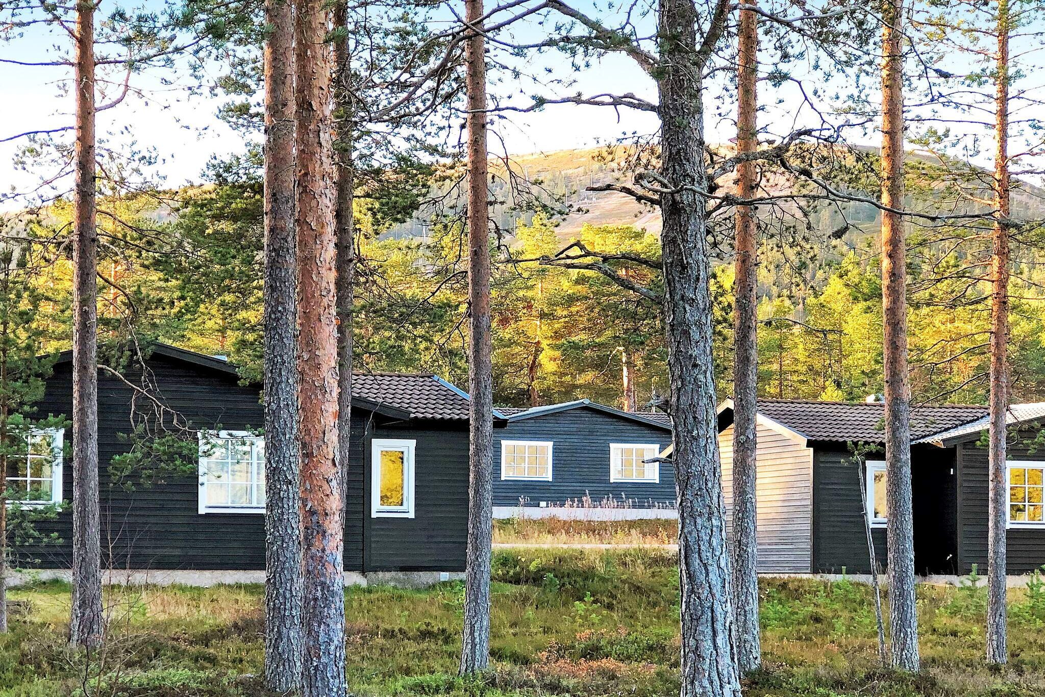 Enjoy the SÃ¤len mountains in the summer, where the slopes are green and the fishing is at its best. If you love mountain biking, there are rugged and paved bike paths to discover. The shock in SÃ¤len is well located for both mountains, forests and experiences. FjÃ¤llbyn, which is also called Ranchen, is located below StÃ¶ten's ski slopes in its own lovely forest area with squirrels, foxes and the occasional capercaillie that can look past. The couple's cottage has a comfortable standard with an open floor plan between the kitchen and living room. The living room has a sofa, TV and dining area for four and the kitchen is adjacent. The cottage has two bedrooms, each with its own bunk bed 80 / 120cm. Bathroom with toilet, sink, shower and drying cabinet. There is a lot to discover in SÃ¤len, nearby there is a canoe to rent and paddle together on GÃ¶rÃ¤lven or go on a bike ride either in the mountains or in the groomed mountain bike trails. If you want more activities, pay a visit to SÃ¤len's village and try the FjÃ¤llgolf course with 18 holes, or paddle on the VÃ¤sterdalÃ¤lven river one evening and maybe you will see a beaver swimming past. Visit the small town RÃ¶rbÃ¤cksnÃ¤s which offers an eldorado for cycling fans with its beautiful trails. Do not miss Experium in Lindvallen, a popular adventure pool that is suitable for all ages where you can also play bowling and go to the cinema. Let yourself discover what one of Sweden's gems has to offer even during the summer. StÃ¶ten, which is a few miles from the Norwegian border, means that you can easily visit Trysil and get a little Norwegian nature experience during your stay in the Swedish mountains. Welcome to a harmonious mountain environment!
