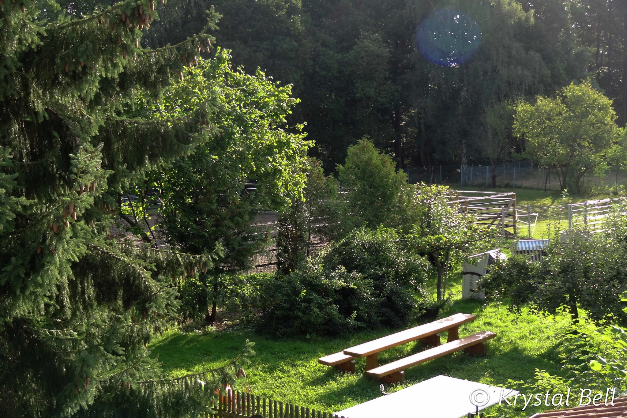 Im Kellerwald-Tuinen zomer