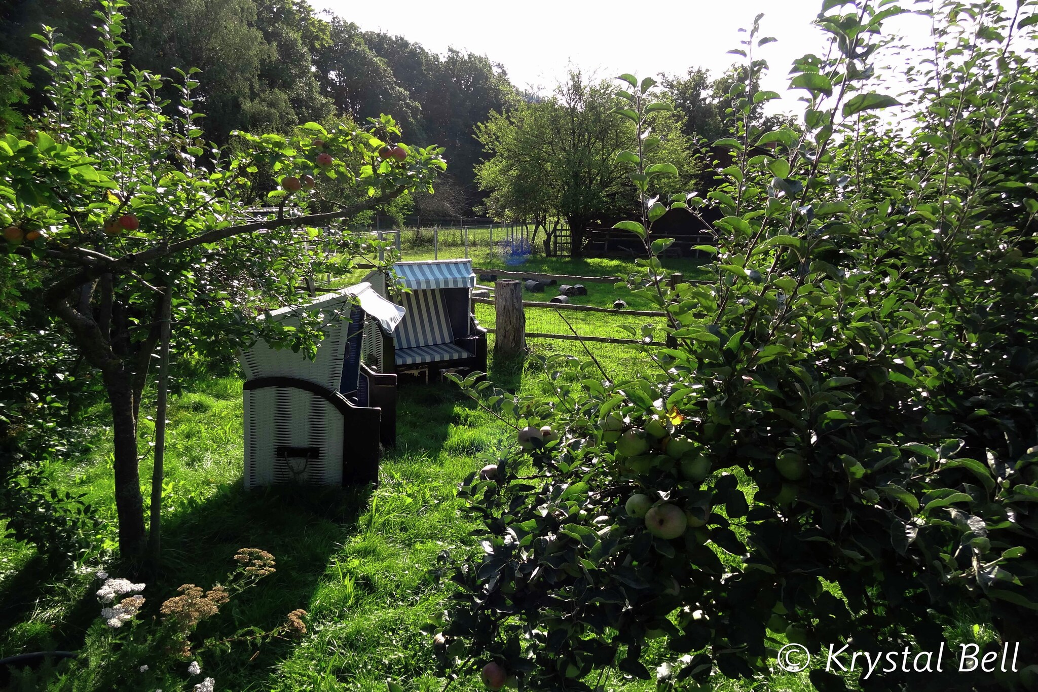 Im Kellerwald-Tuinen zomer