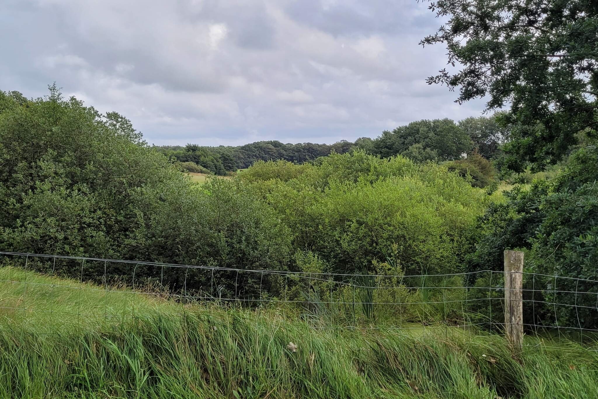 6 persoons vakantie huis in Hovborg-By Traum