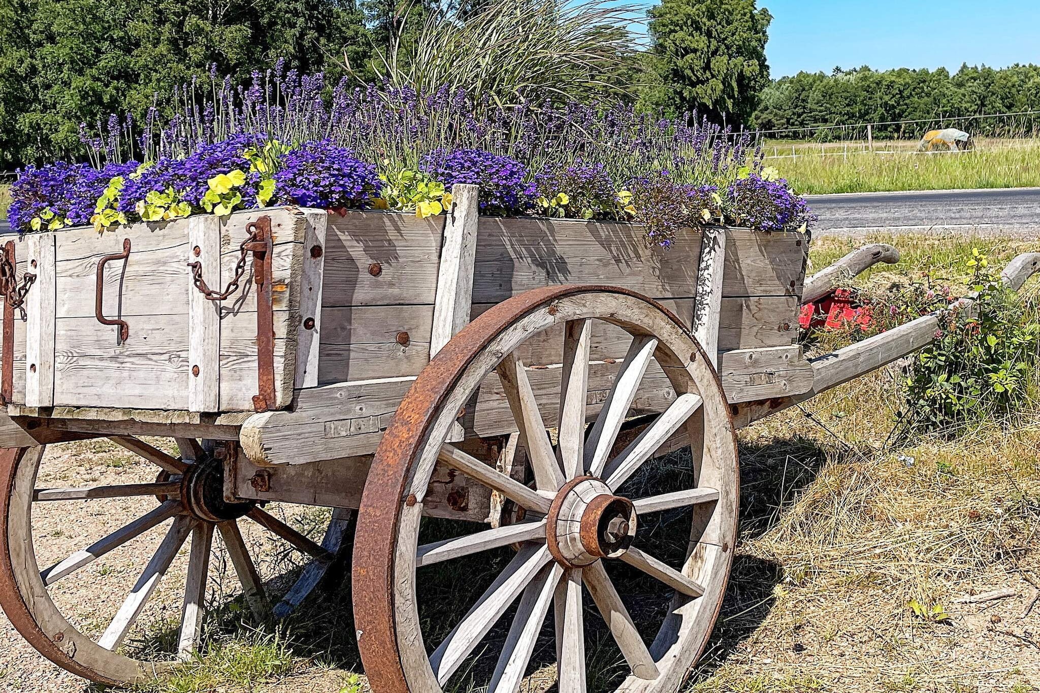 Maison de vacances pour 5 a ELLÖS-By Traum - Non tagué