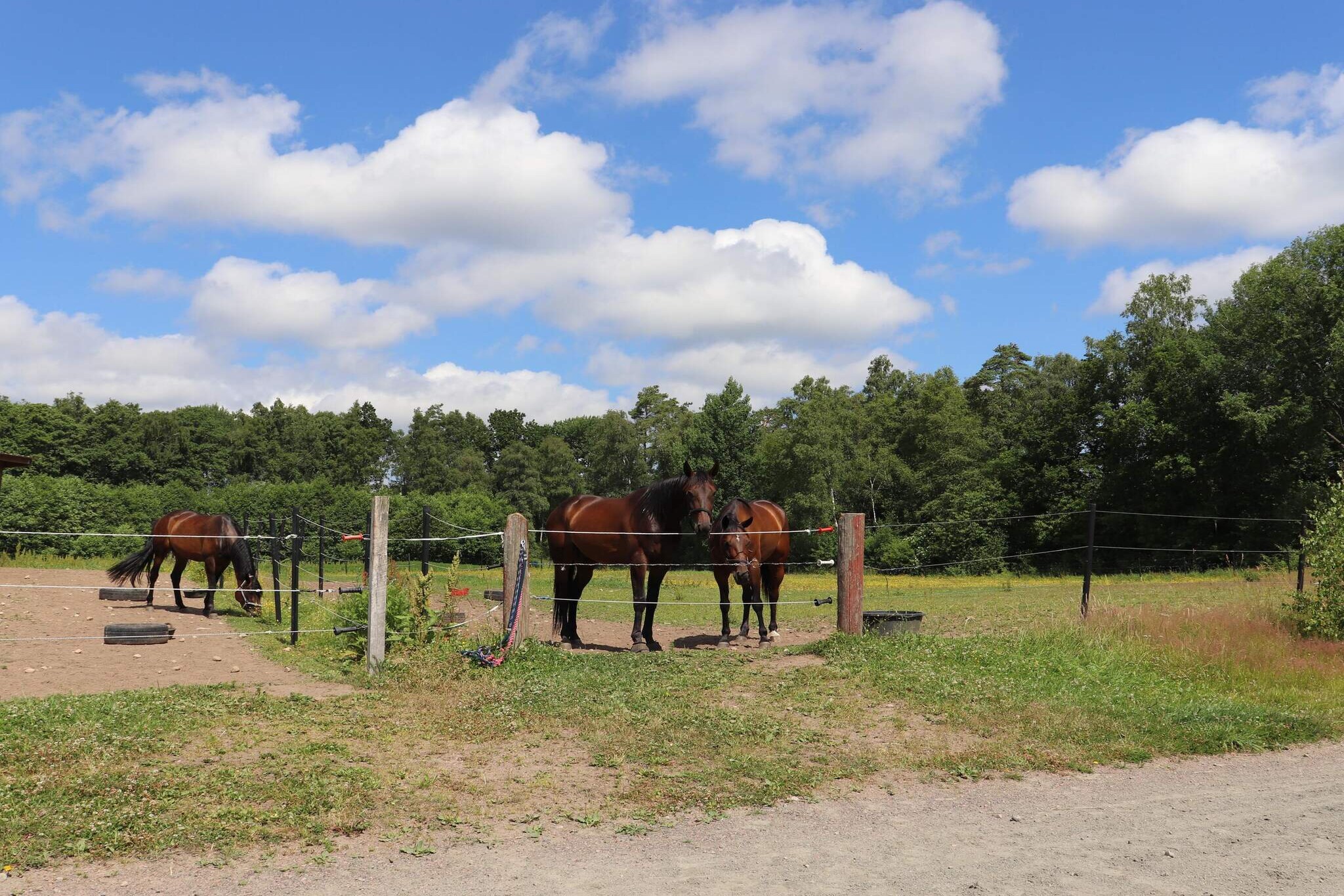 4 persoons vakantie huis in MUNKA-LJUNGBY-By Traum - Niet-getagd