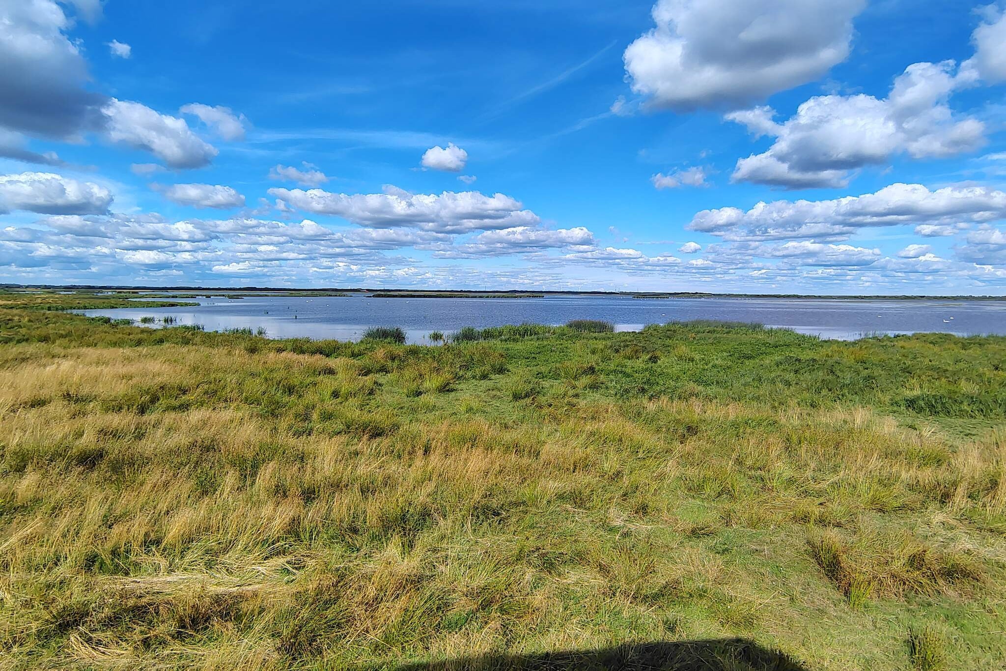 6 persoons vakantie huis in Hemmet-By Traum-Buitenlucht