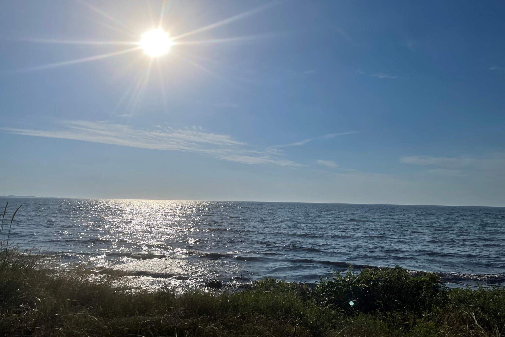8 persoons vakantie huis in Beddingestrand - Niet-getagd