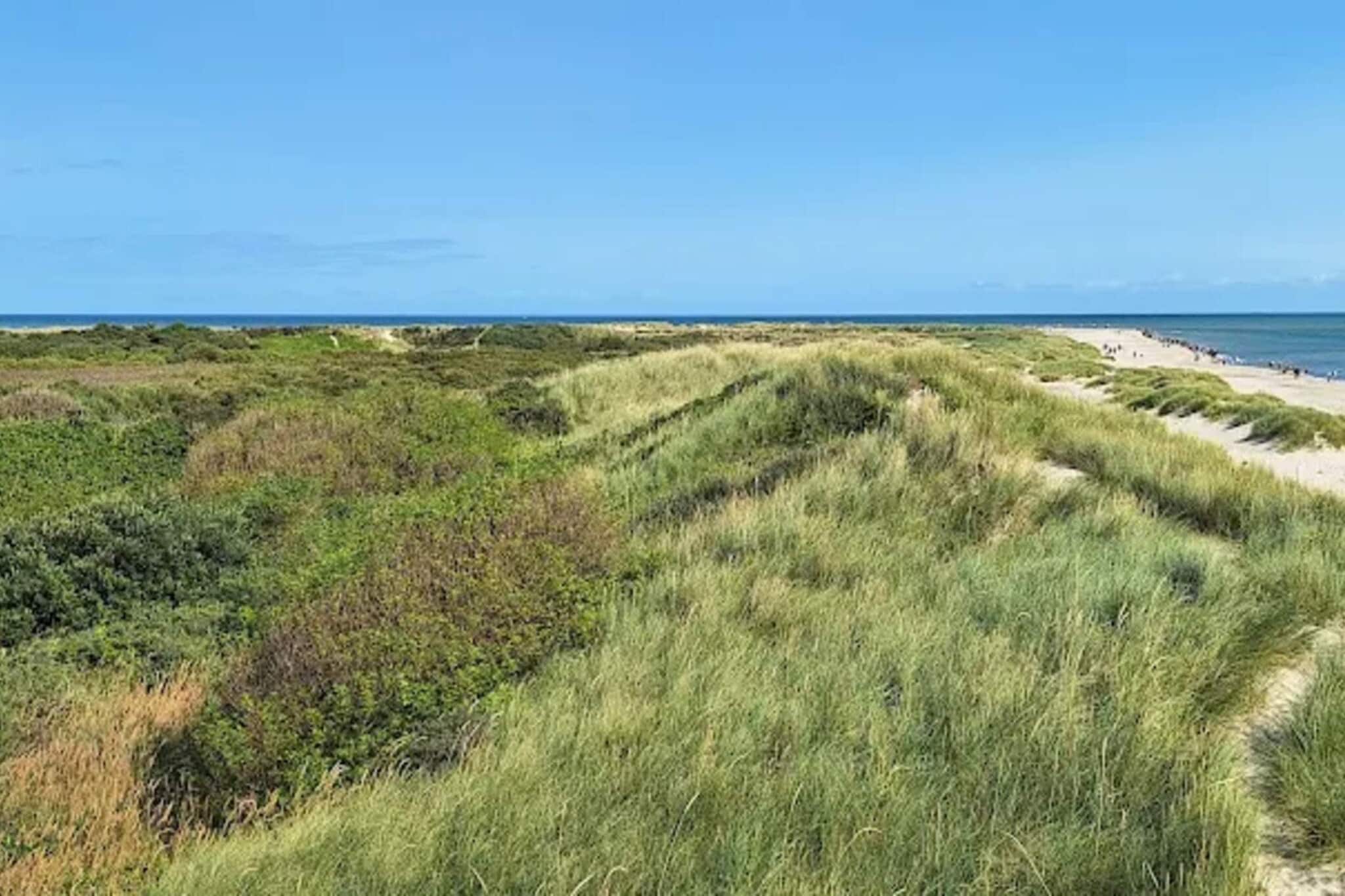 8 persoons vakantie huis in Skagen-By Traum - Waterzicht