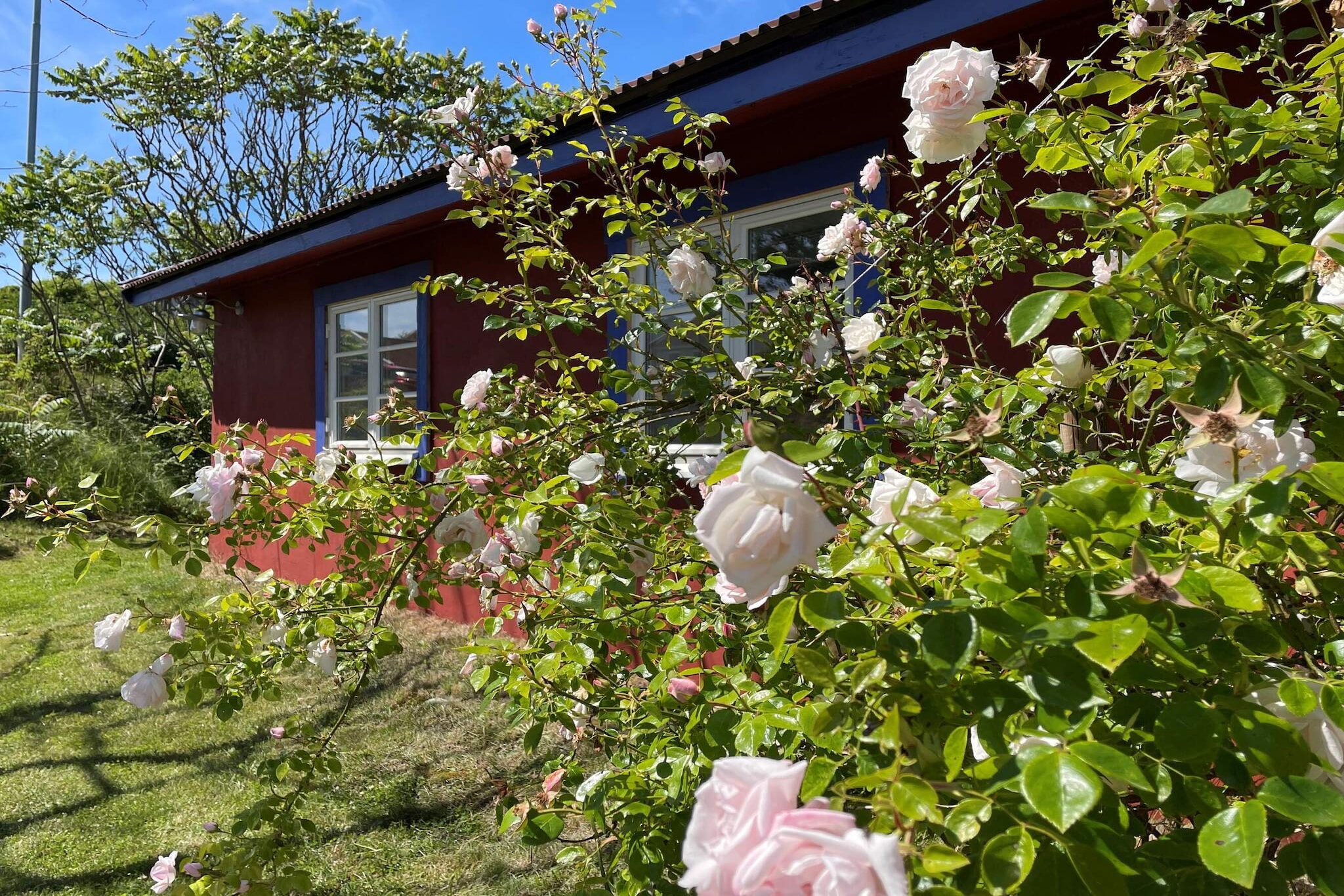 4 persoons vakantie huis in Skärhamn-By Traum
