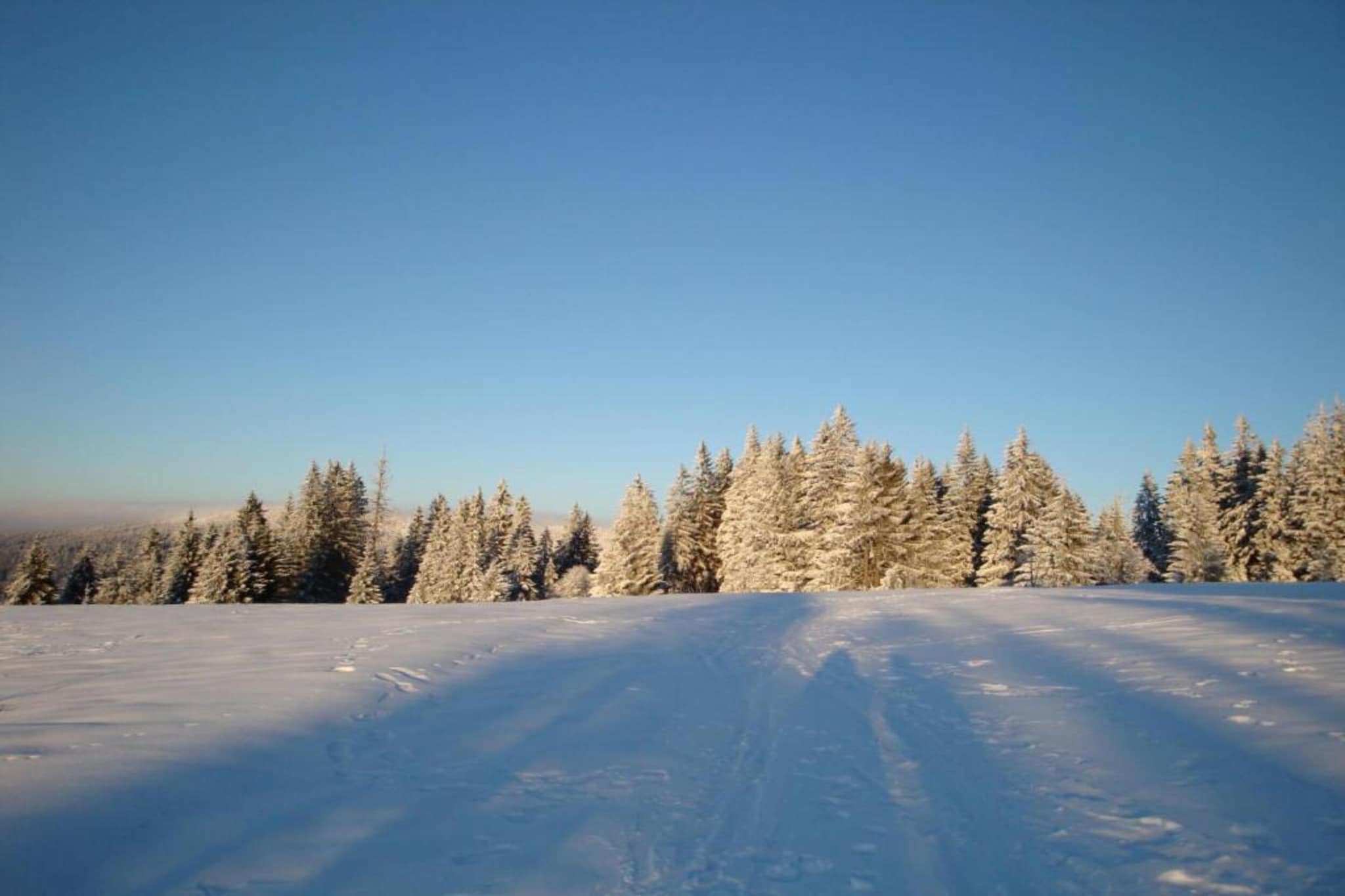 Kreut-Gebied winter 20km