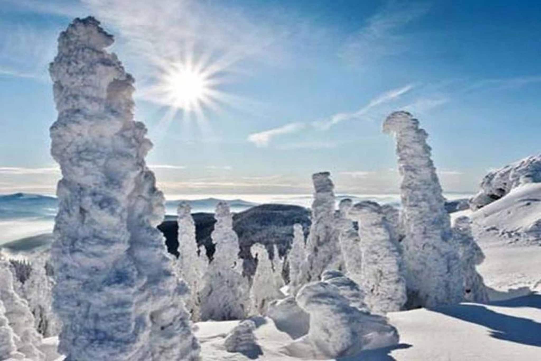 Kreut-Gebied winter 20km