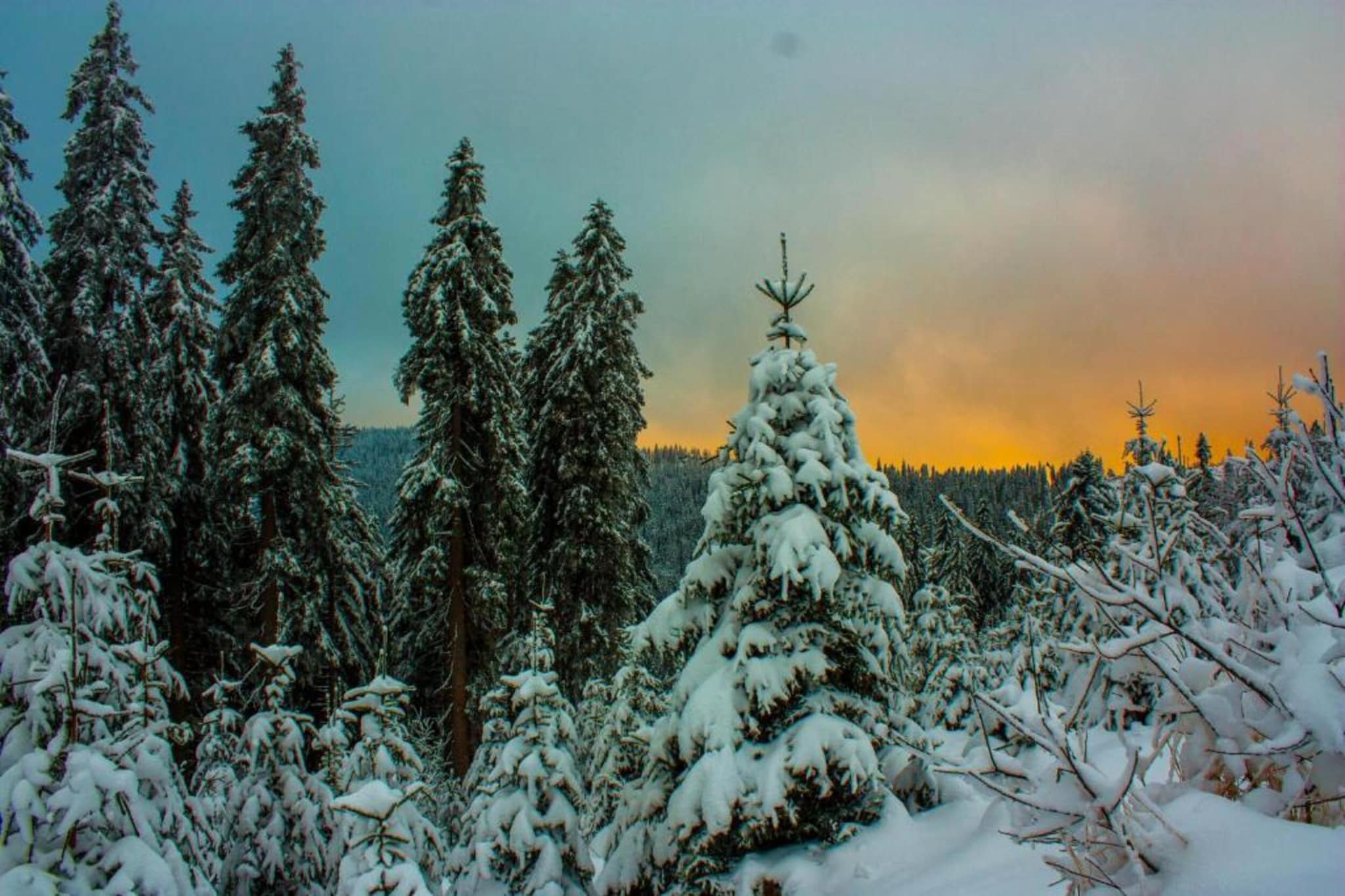 Kreut-Gebied winter 20km