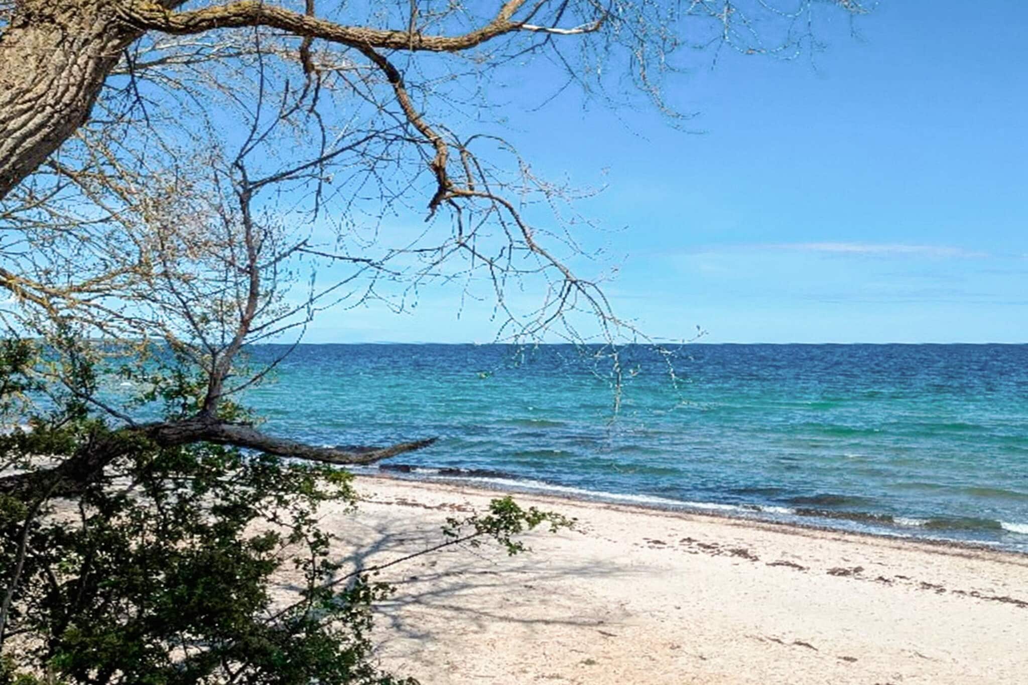Retraite tranquille sur la plage - Par Traum-Vue sur l'eau