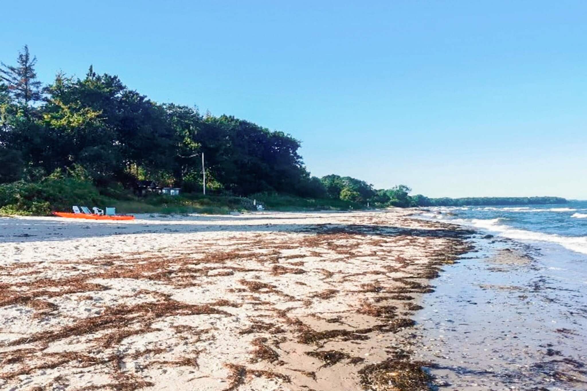 Retraite tranquille sur la plage - Par Traum-Vue sur l'eau