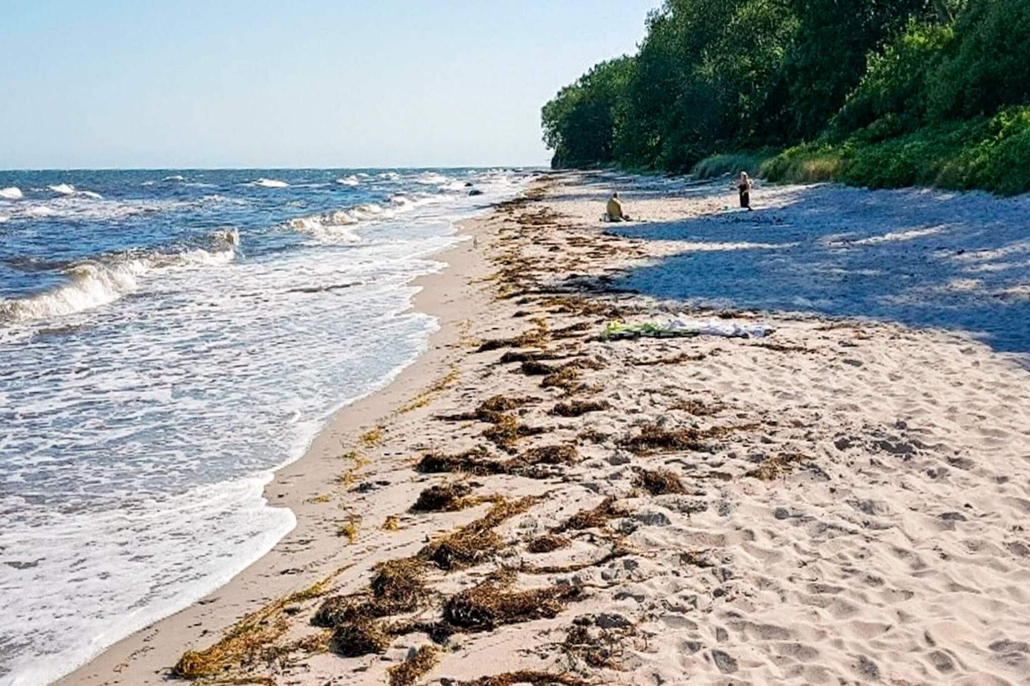 Retraite tranquille sur la plage - Par Traum-Vue sur l'eau