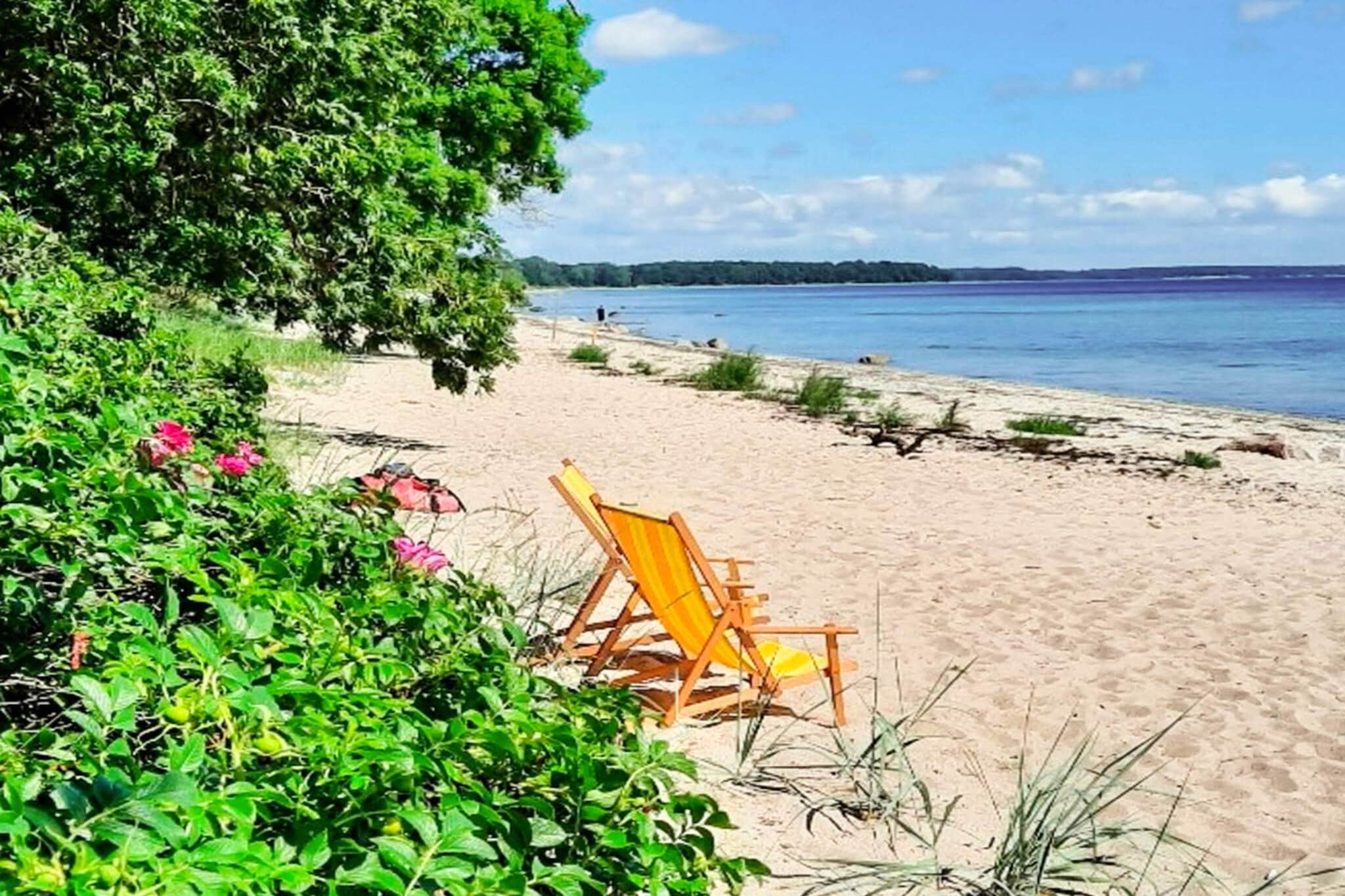 Retraite tranquille sur la plage - Par Traum-Vue sur l'eau