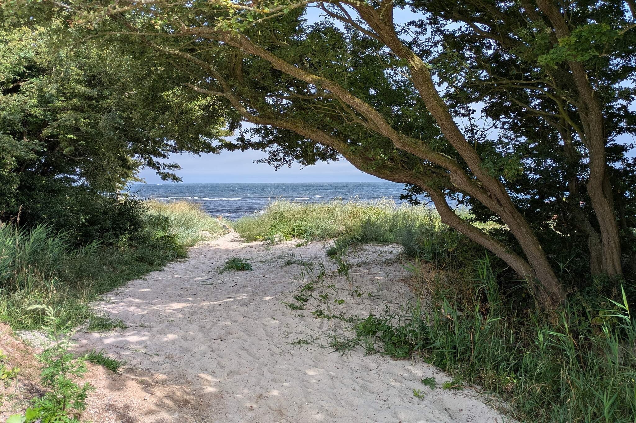 Tranquil Beach Retreat - By Traum-Untagged