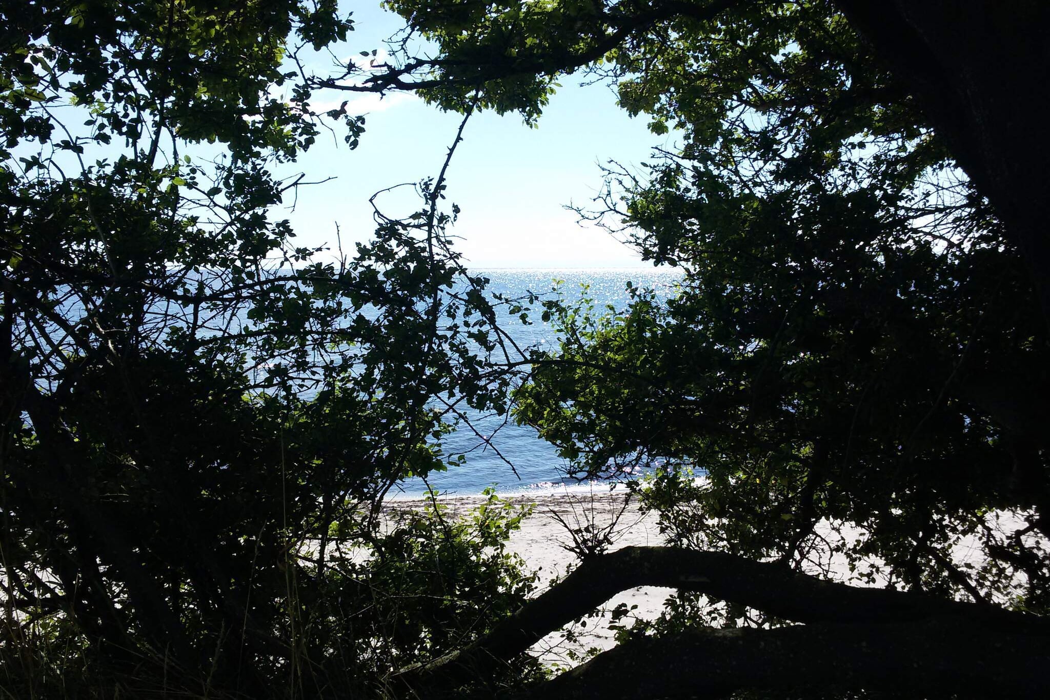 Tranquil Beach Retreat - By Traum-Untagged