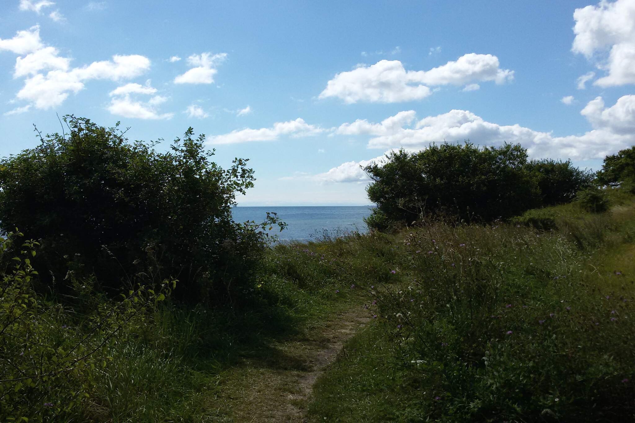 Tranquil Beach Retreat - By Traum-Untagged