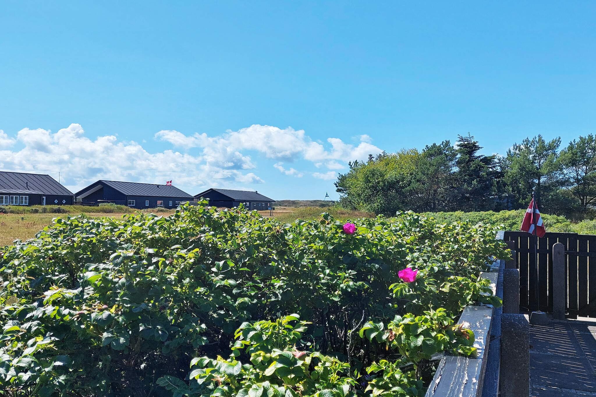 4 persoons vakantie huis in Skagen-By Traum - Uitzicht