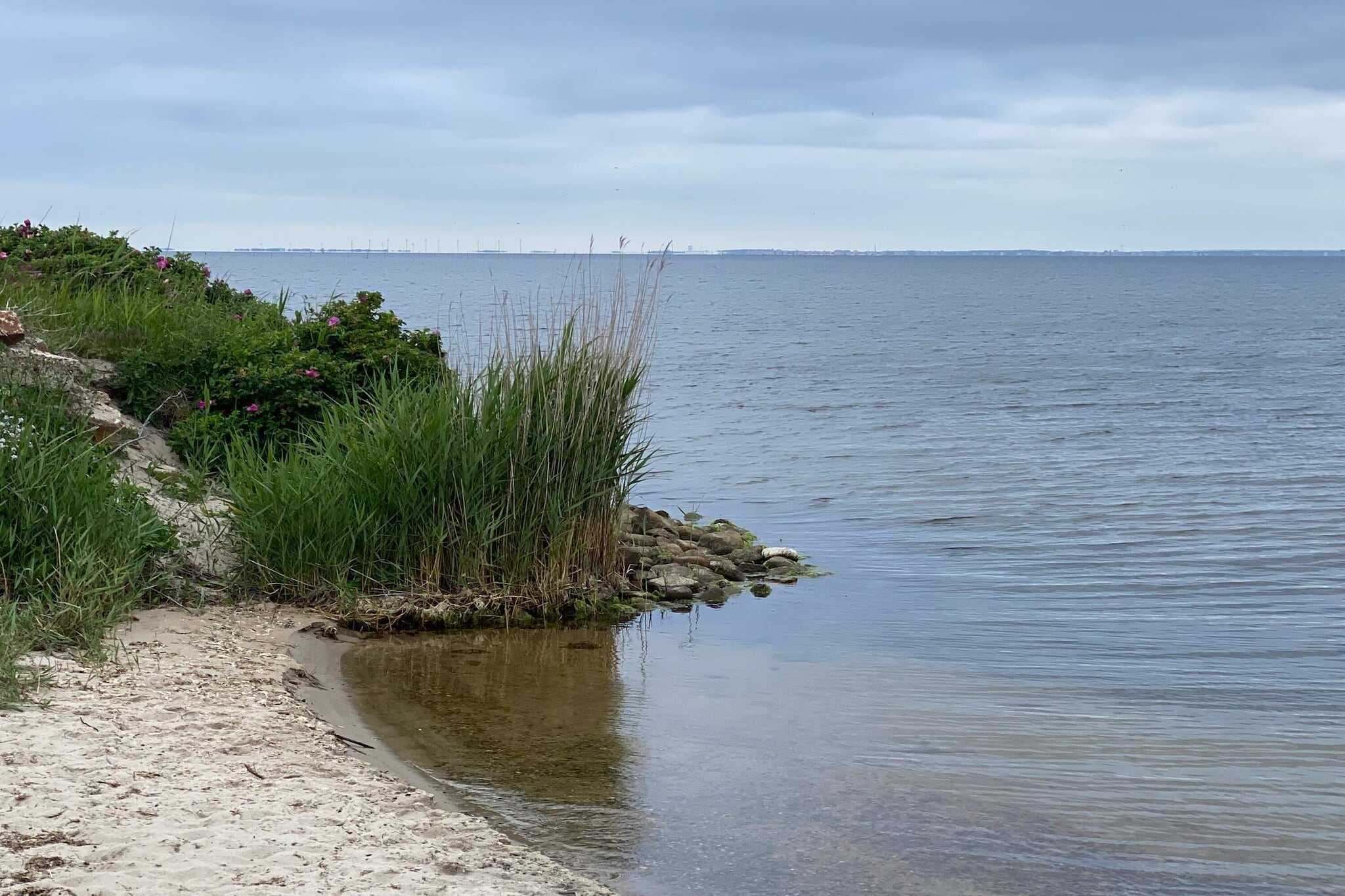 6 persoons vakantie huis in Hvide Sande-By Traum