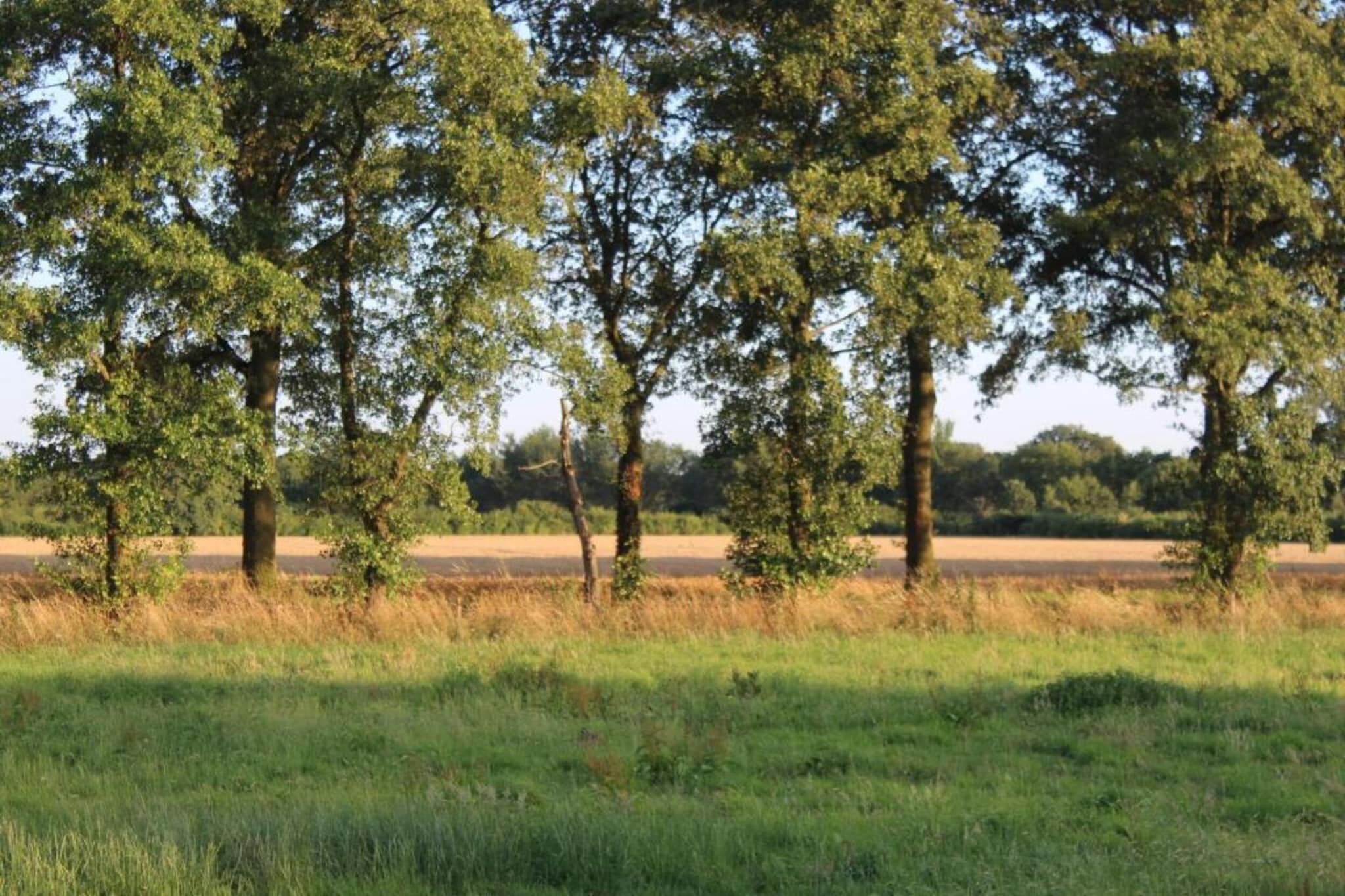 Welskerveen - 4 personen-Gebieden zomer 20km