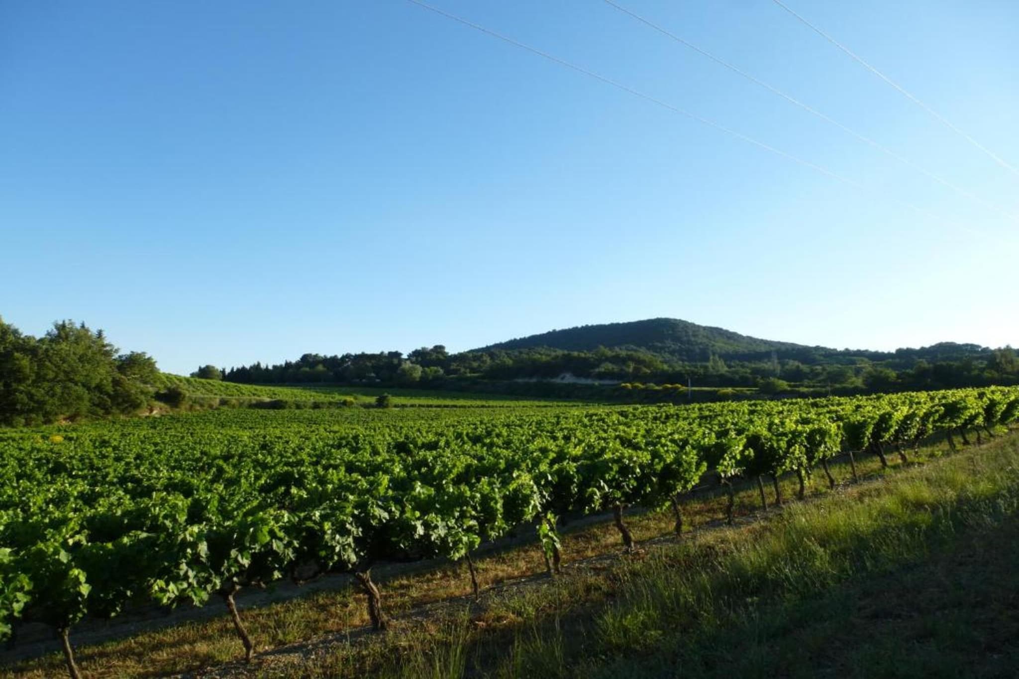 Tonneaux Sarrians-Zones d'été à 20 km