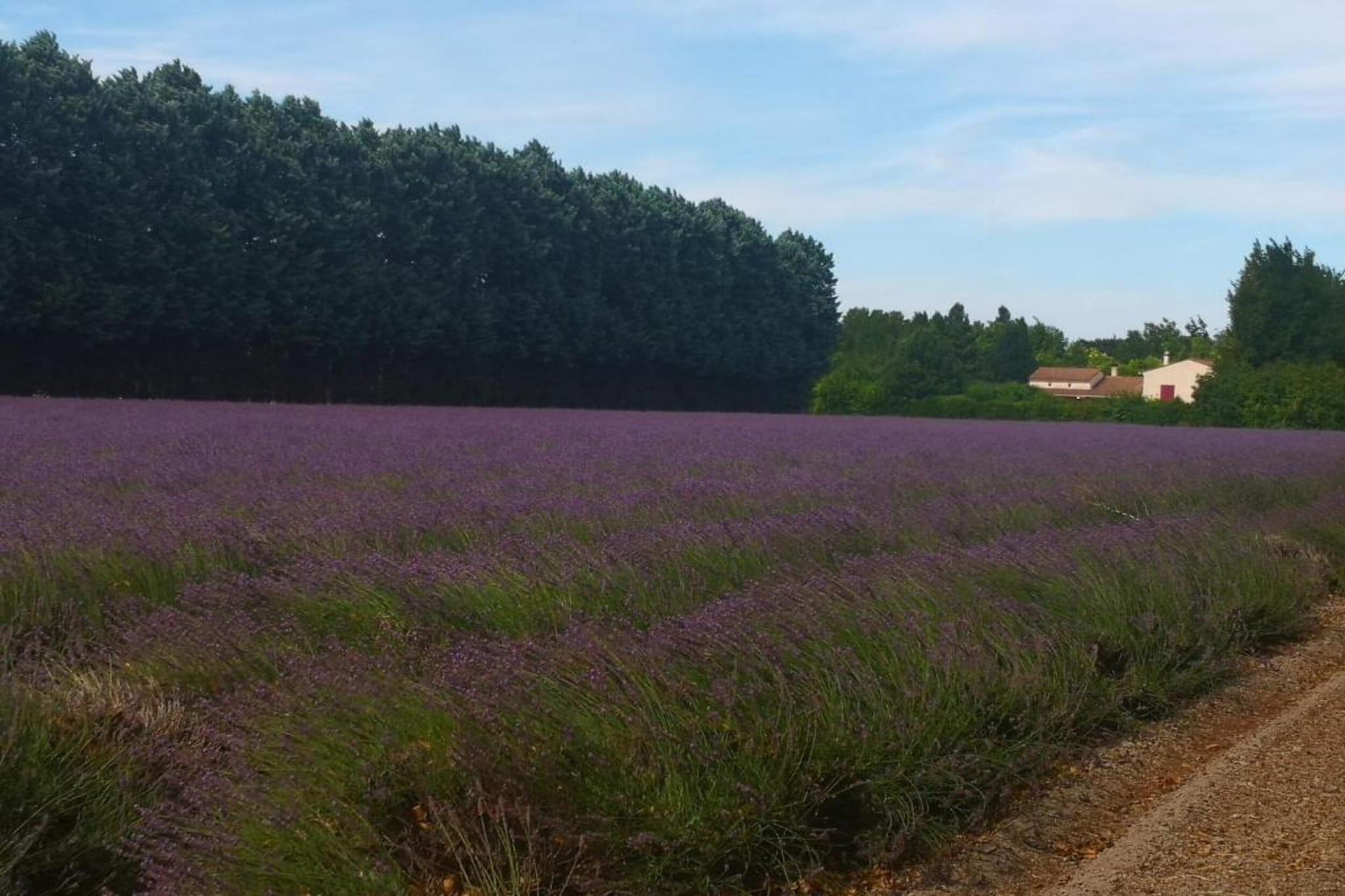 Tonneaux Sarrians-Zones d'été à 20 km