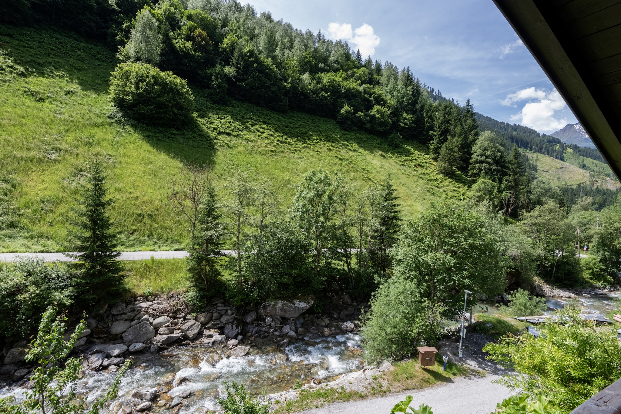 View Summer