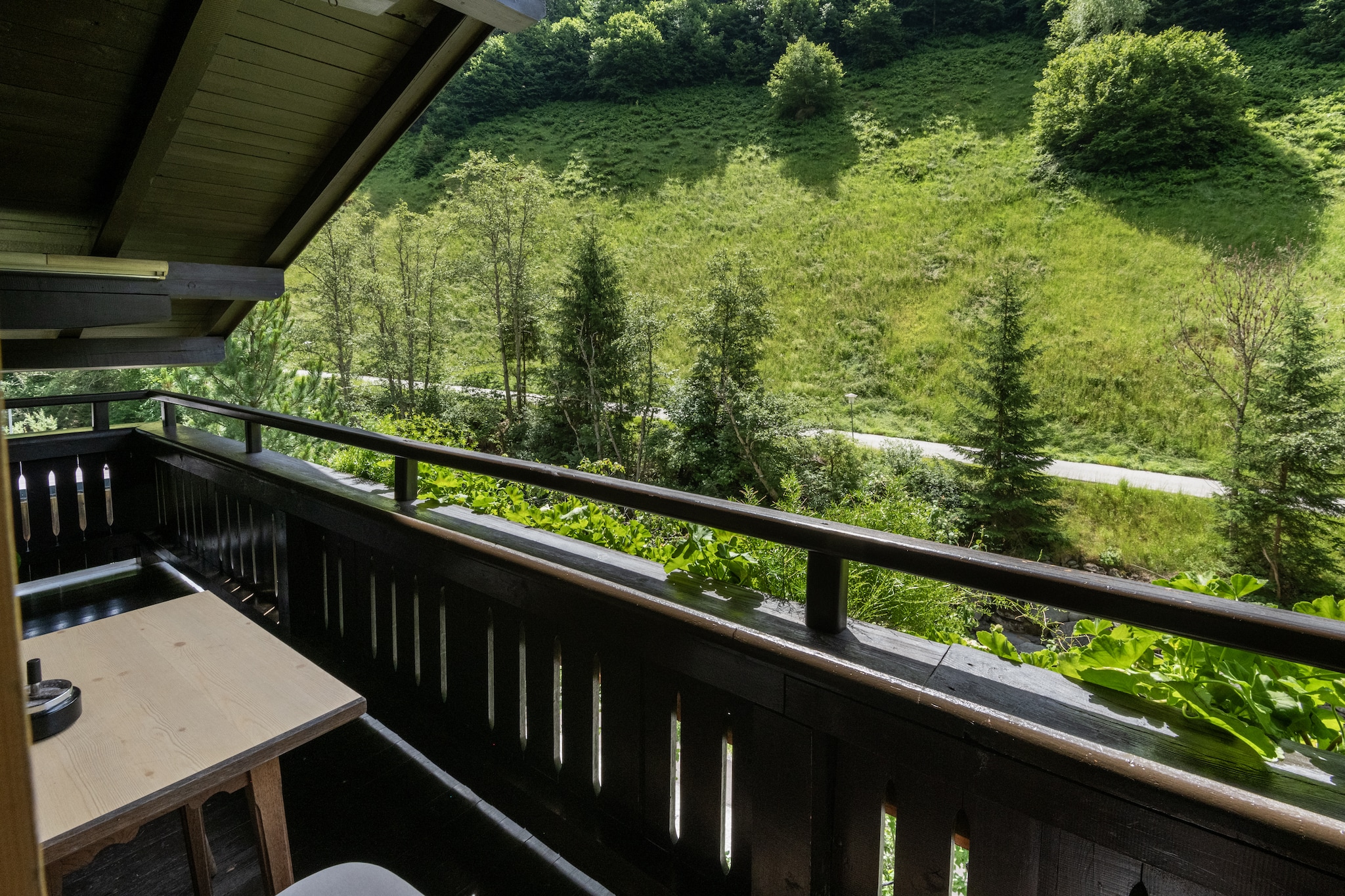 Terrace Balcony