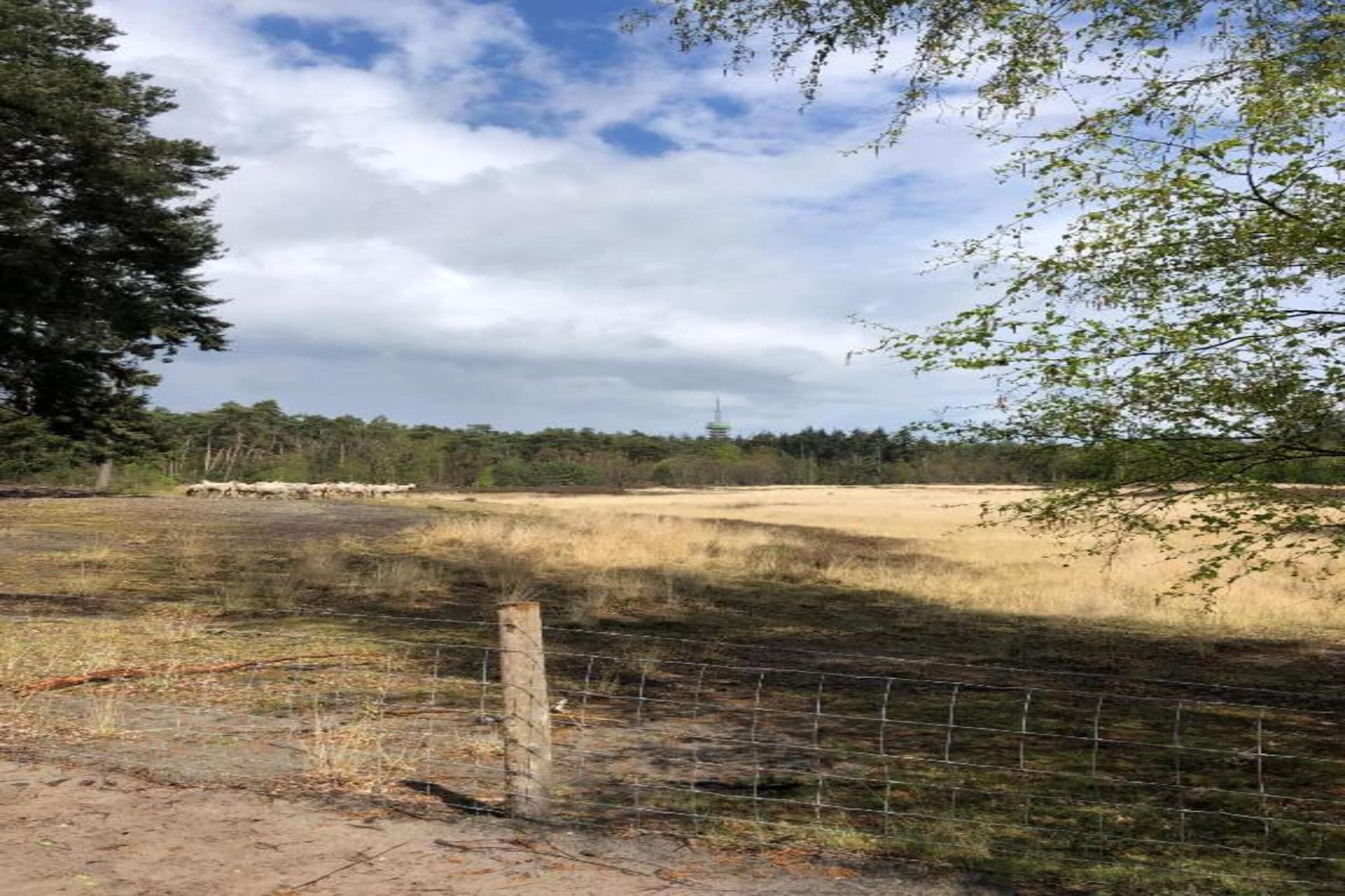 Bospark 't Wolfsven 15-Areas summer 5km
