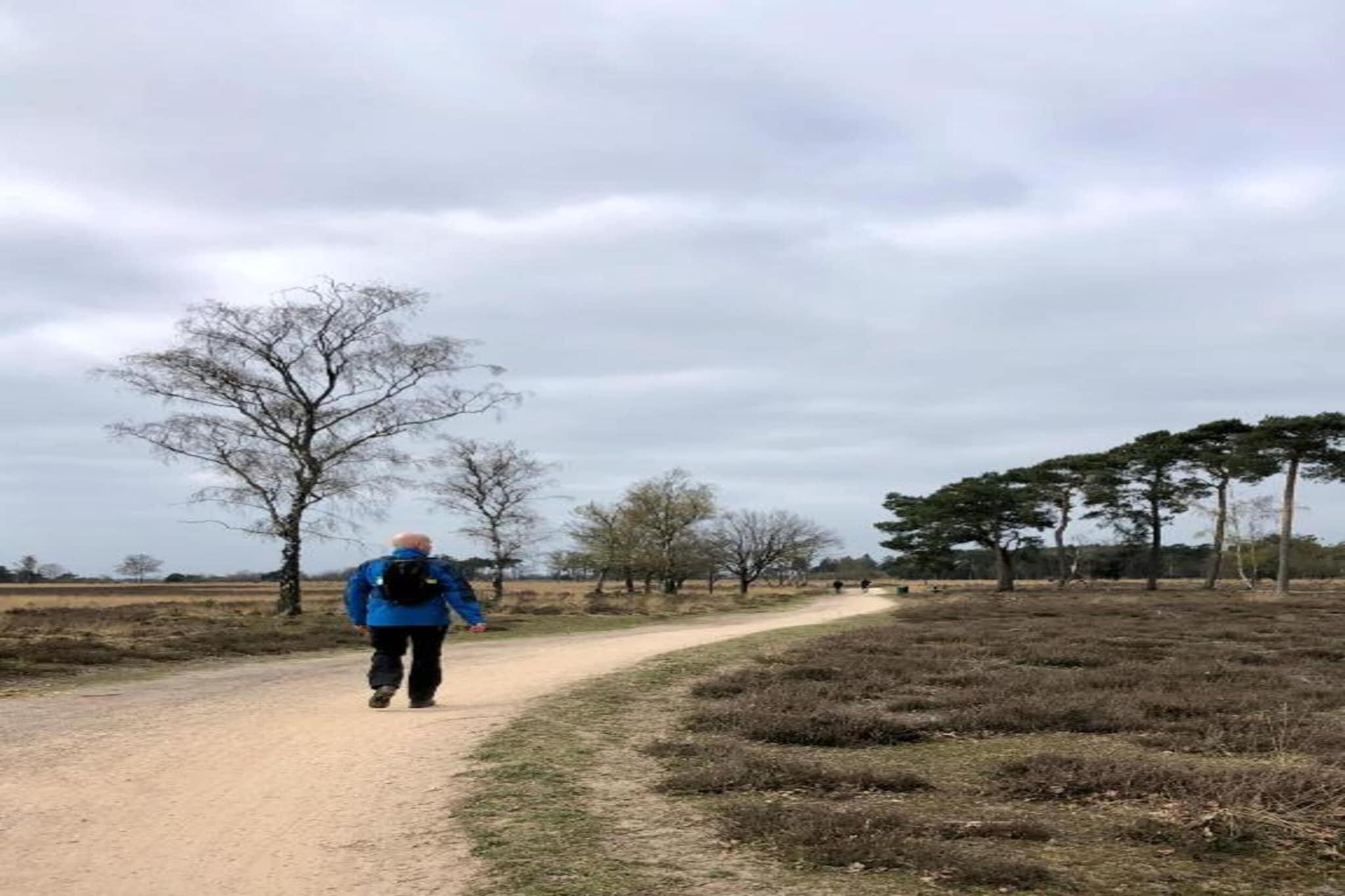 Bospark 't Wolfsven 17-Gebieden zomer 5km