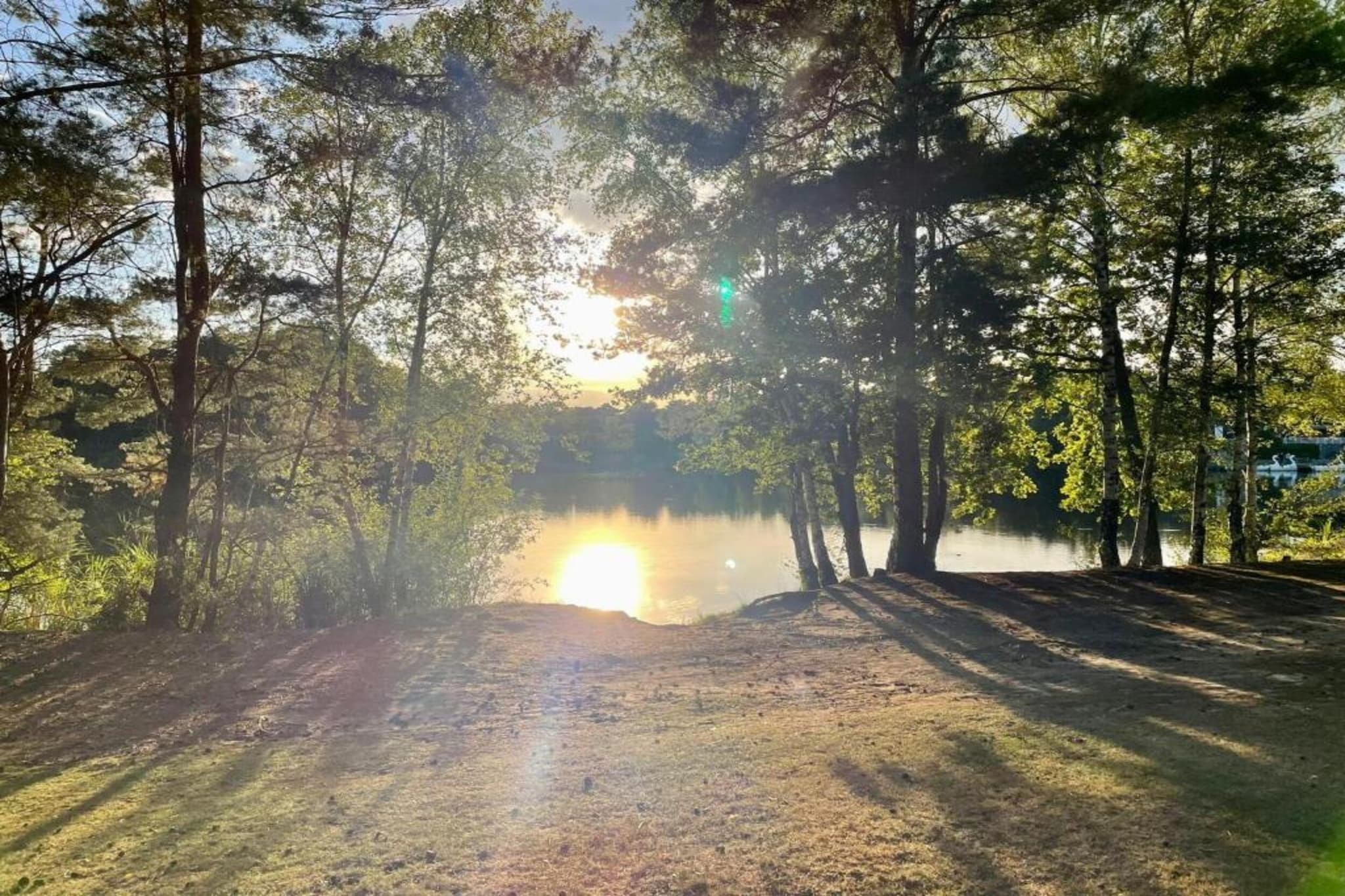 Bospark 't Wolfsven 17-Gebieden zomer 5km