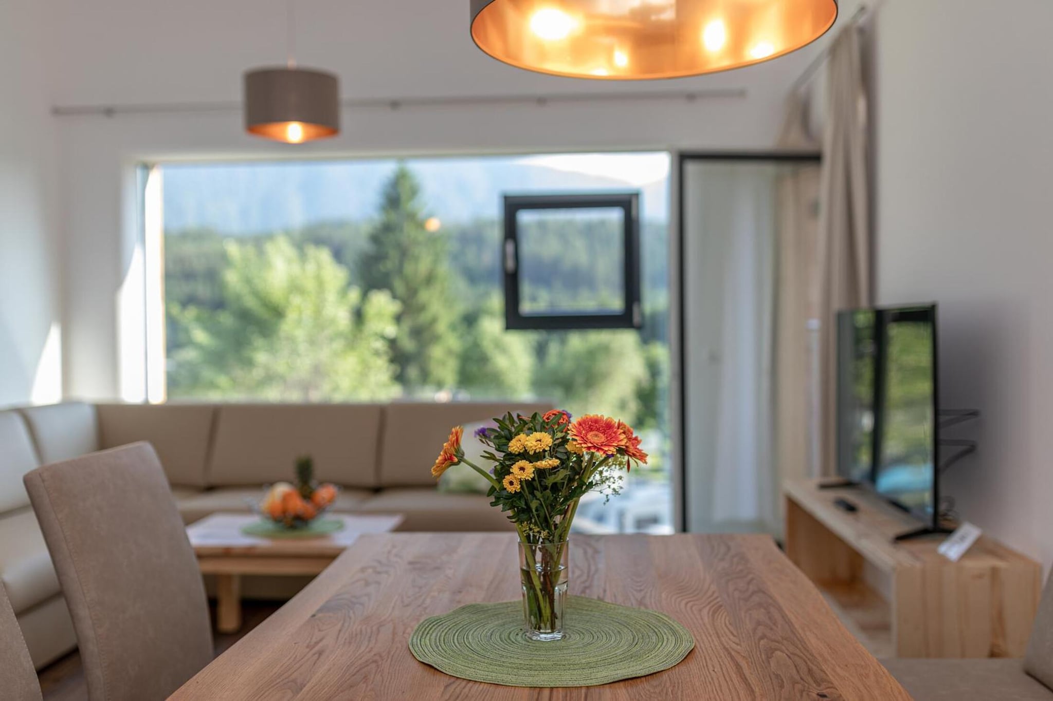 Alpin Apartment 4-2 - Ambiance